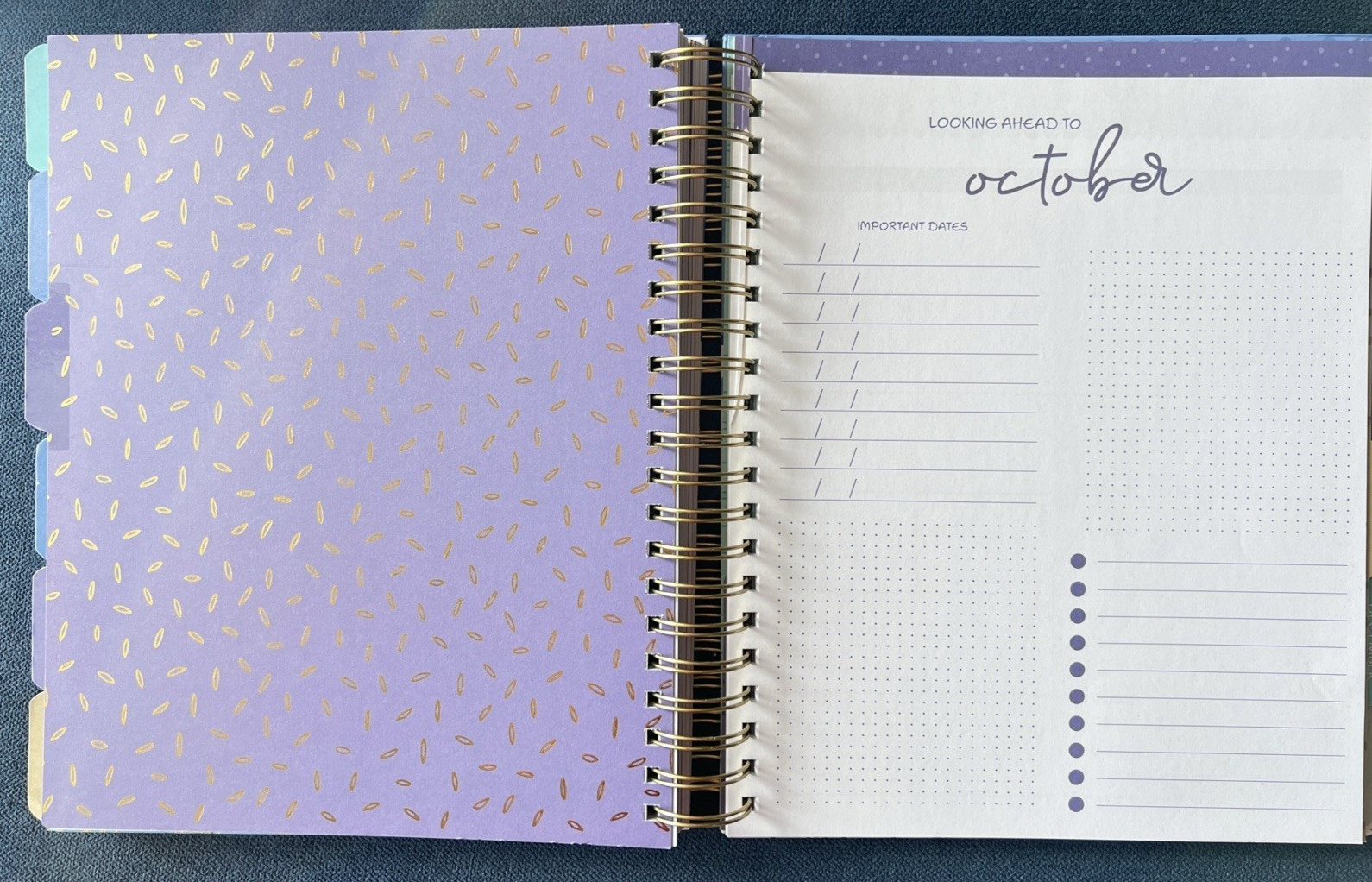 17 Month Planner BLUE BOWS FLOWER Aug 2025 – Dec 2026 Weekly Planning Note Gift