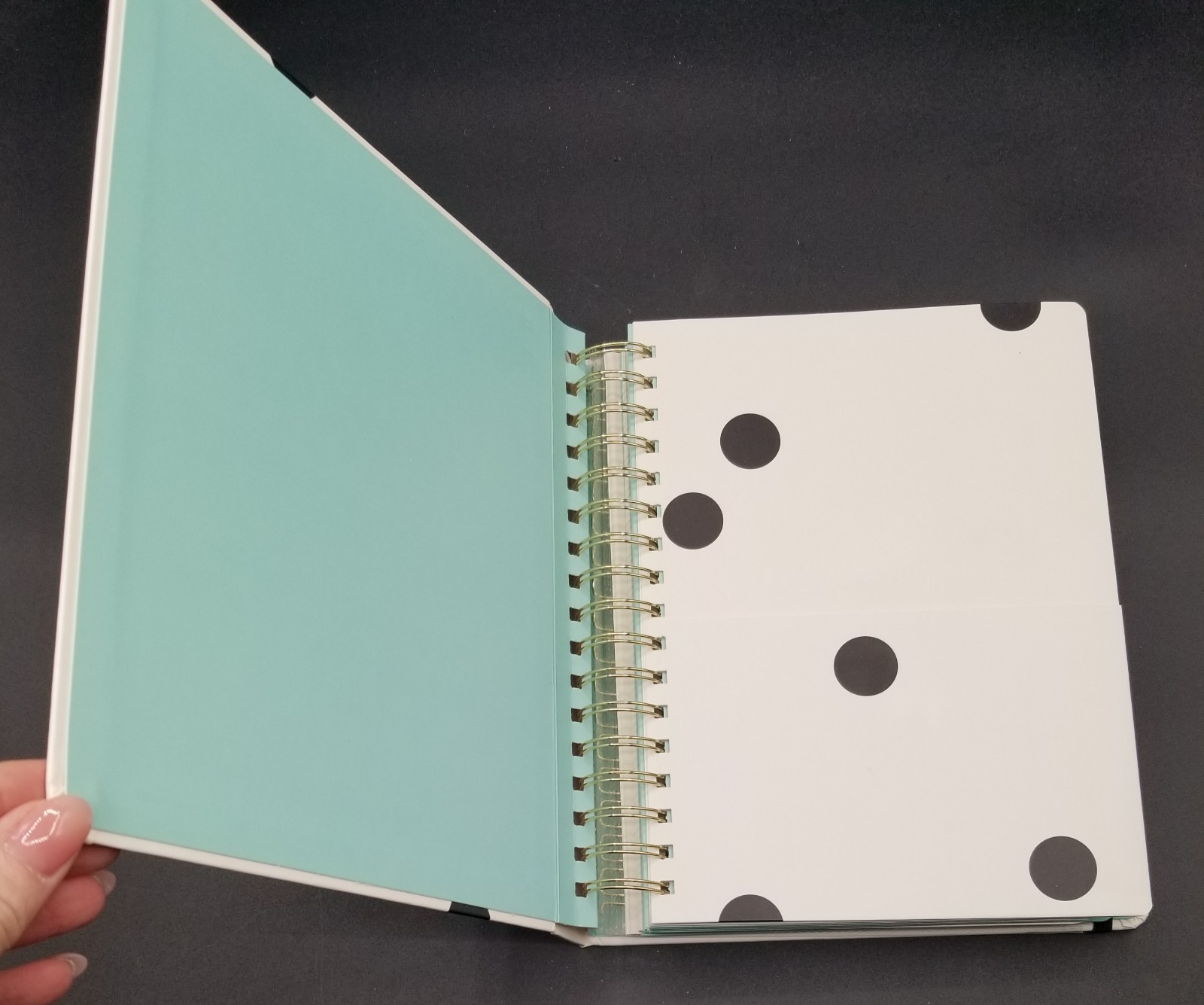Kate Spade Polka Dot Recipe Book Unused Journal Black & White Robin’s Egg Blue