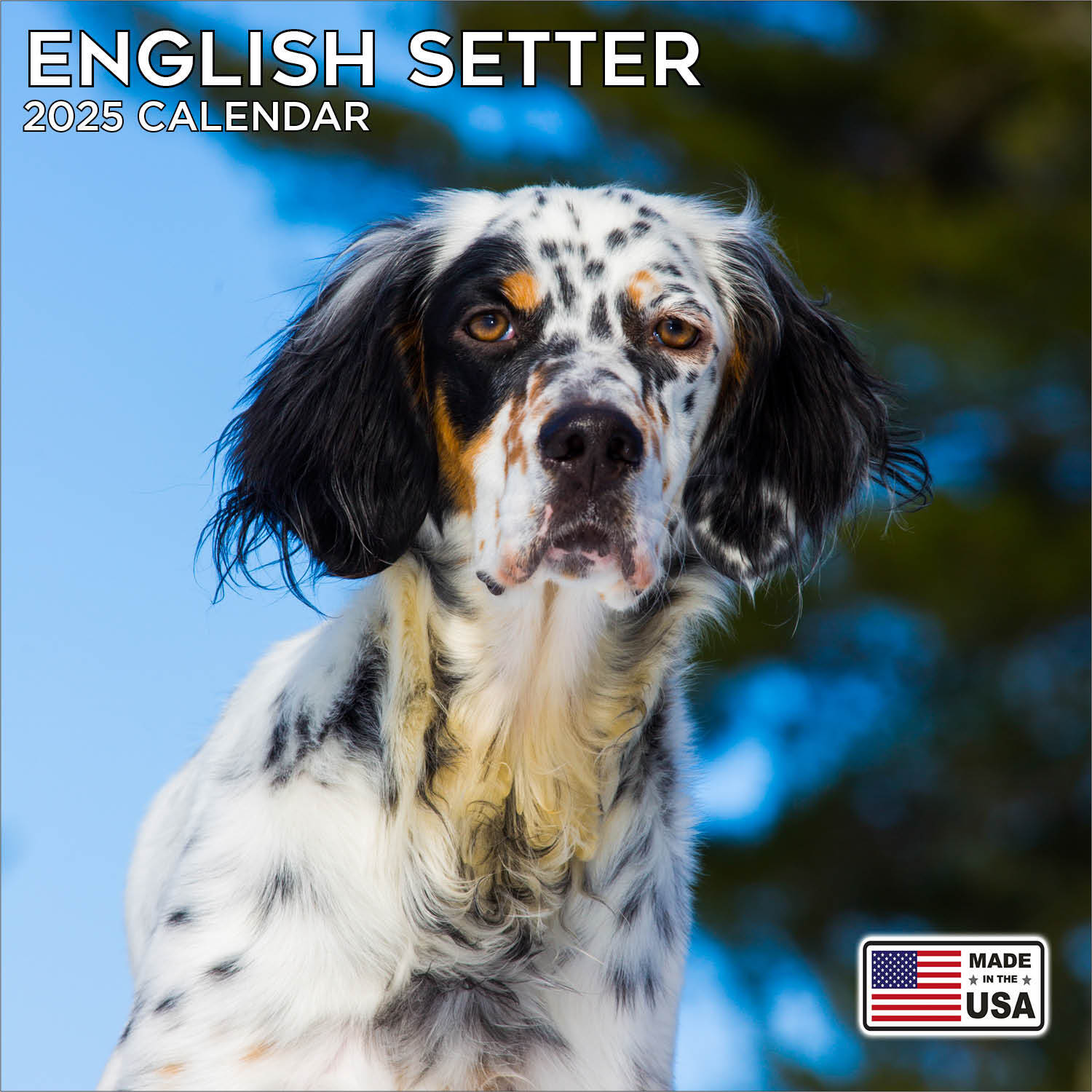 English Setter Calendar 2025 – Dog Breed Wall Calendar – Made in the USA!