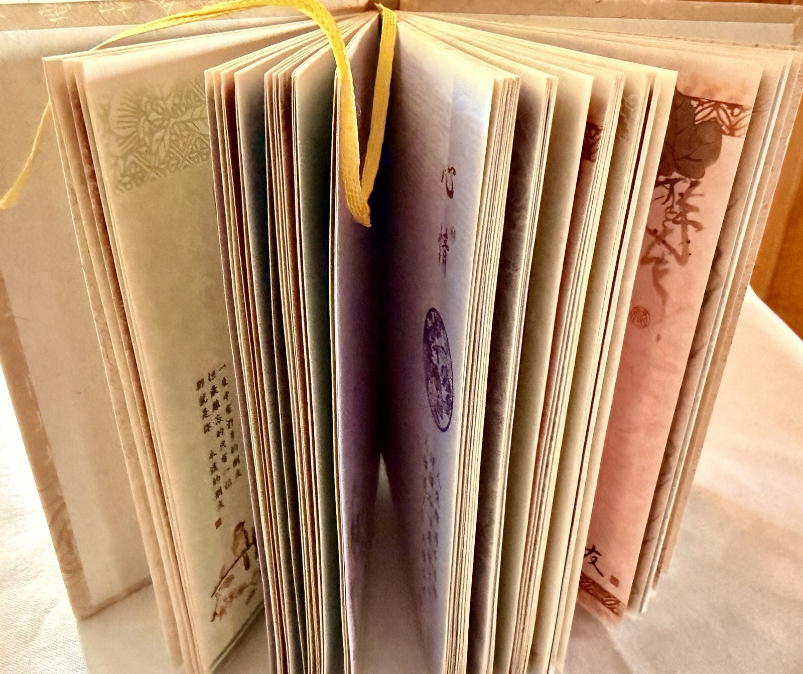 Beautifully Illustrated Chinese Blank Journal CL85301