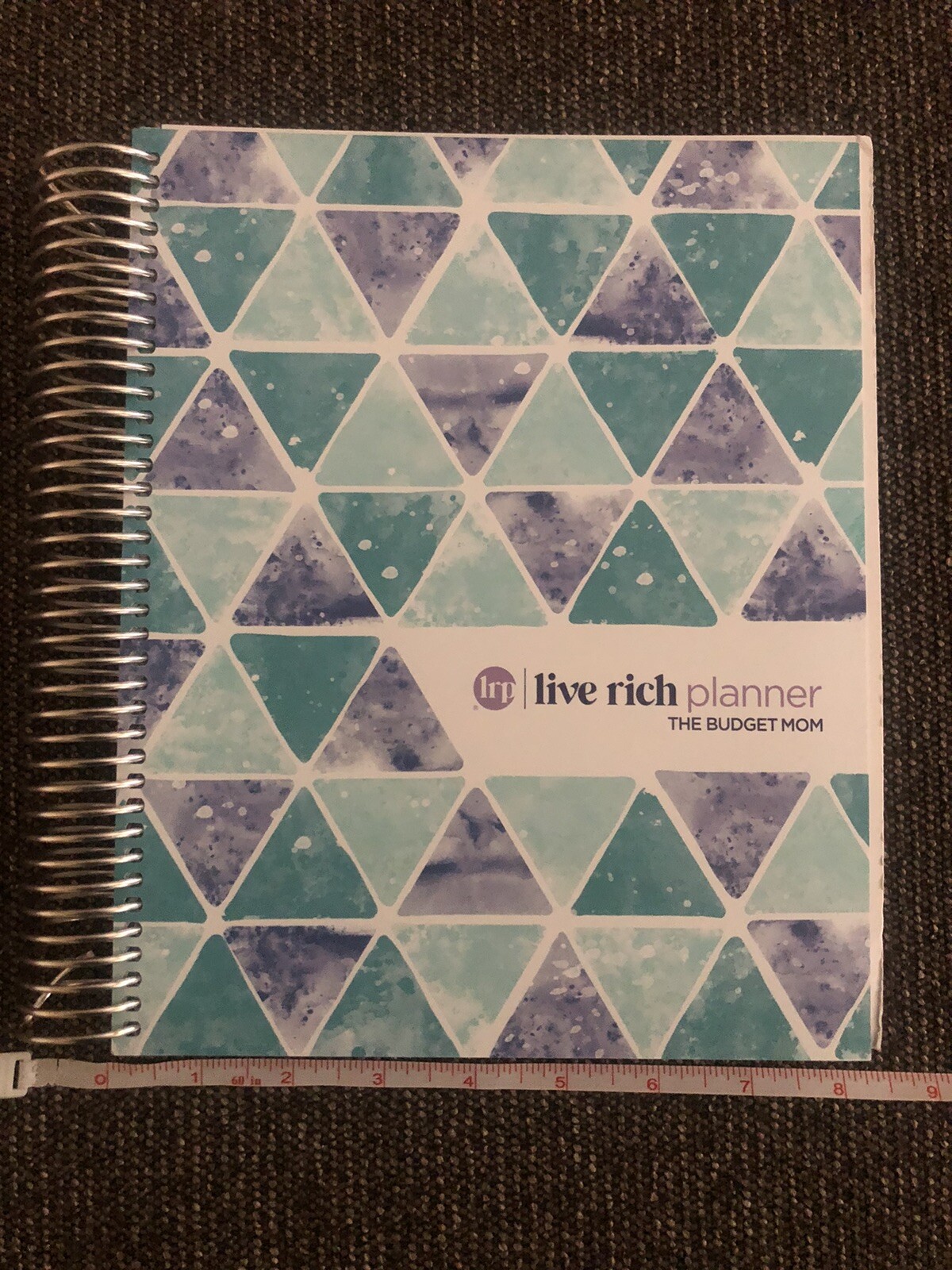 The Budget Mom/ Live Rich Planner /Monthly Calendar/ Personal Finance/ Stickers