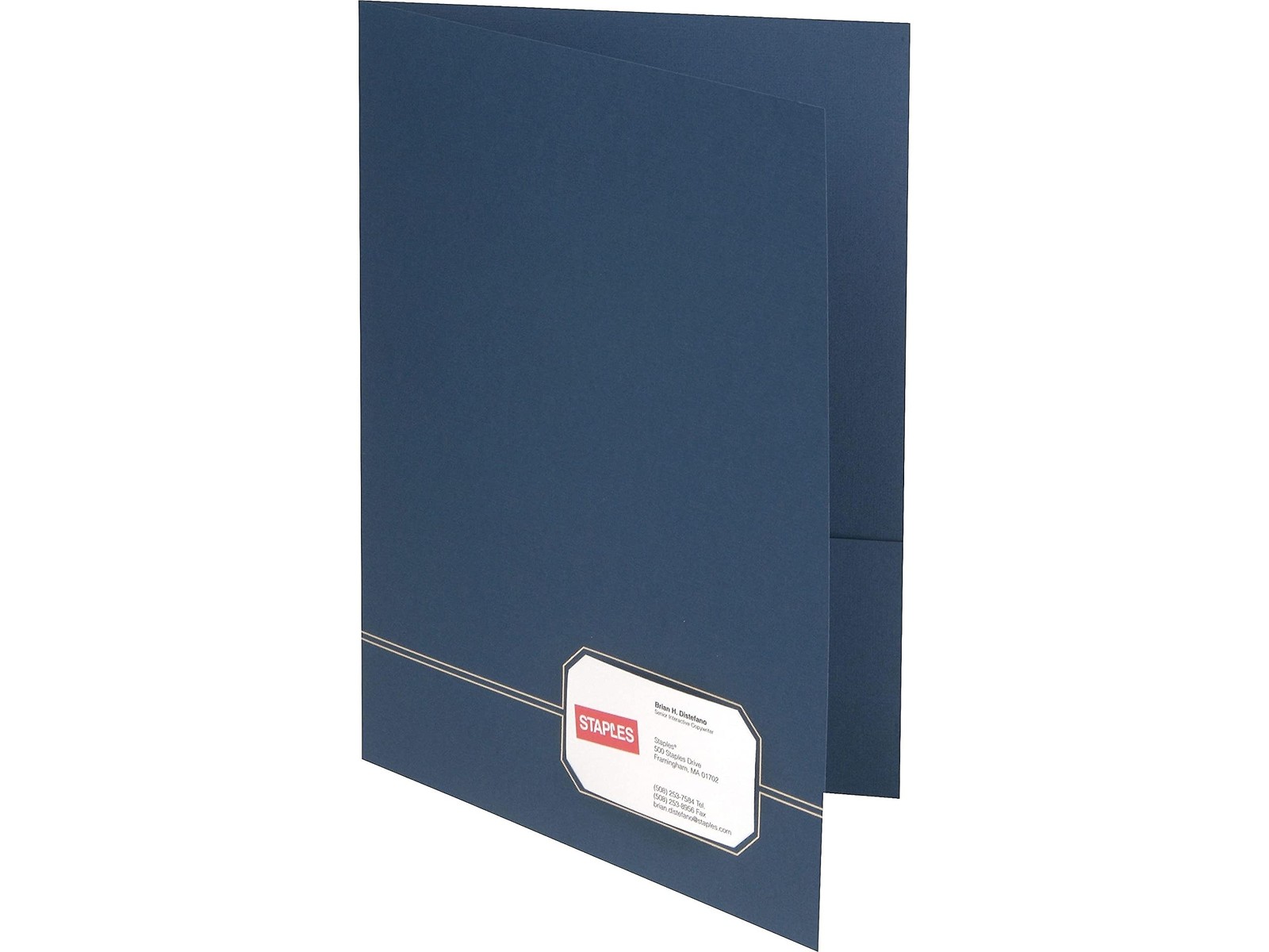 Elegant Blue Gold Twin Pocket Folders 4 Pack 80 Sheet Capacity Premium Look