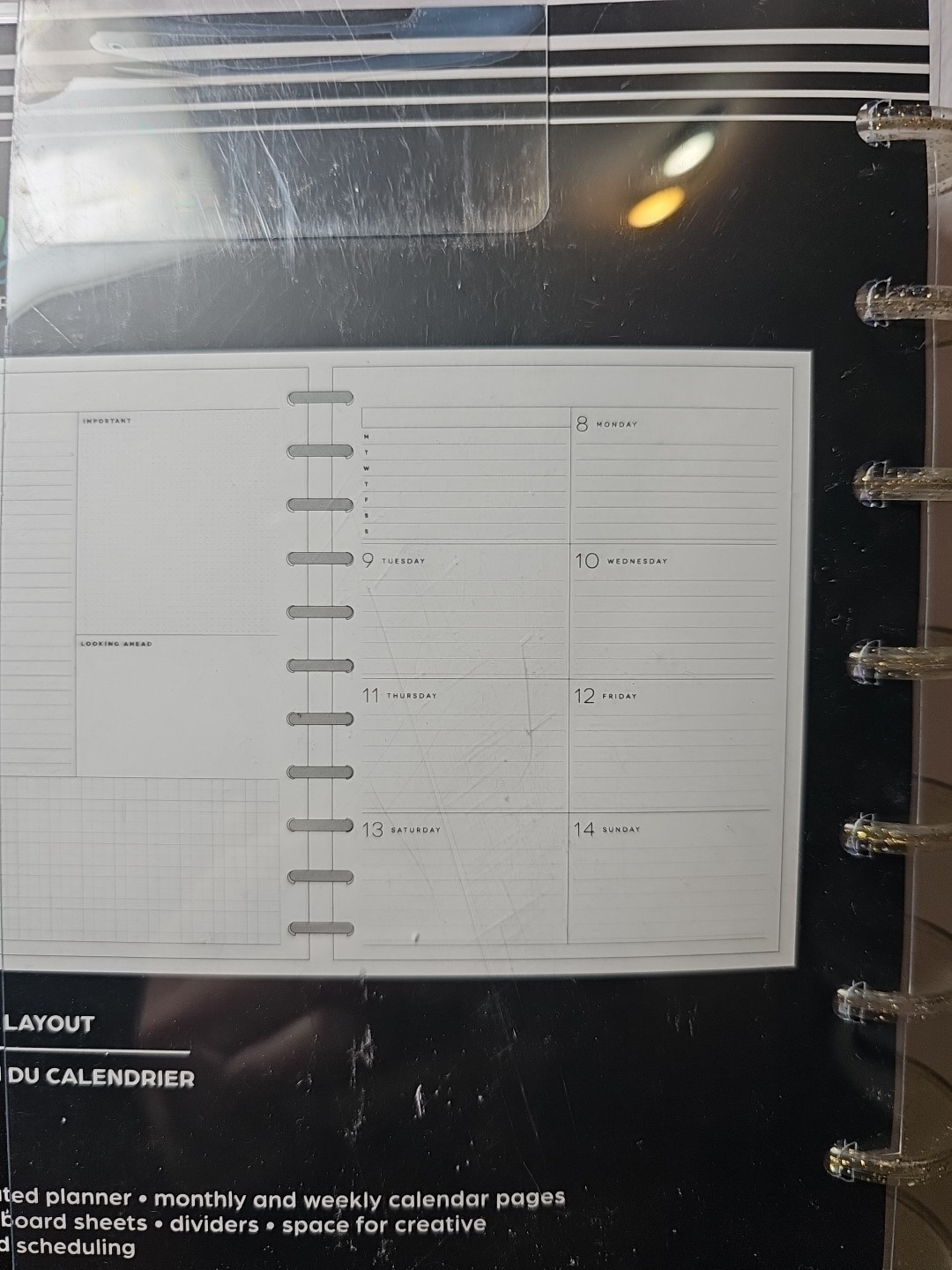 The Happy Planner 12-month planner 24-25 Big Dashboard Layout Plants & Patterns