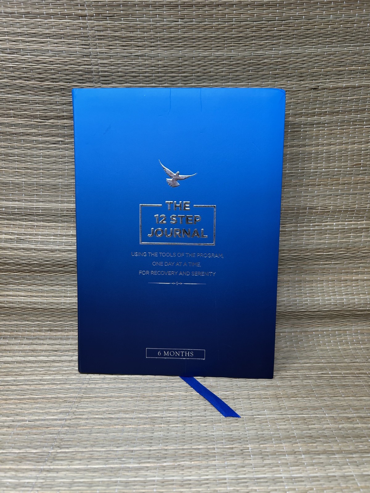 The 12 Step Journal Using the Tools of the Program One Day at a Time