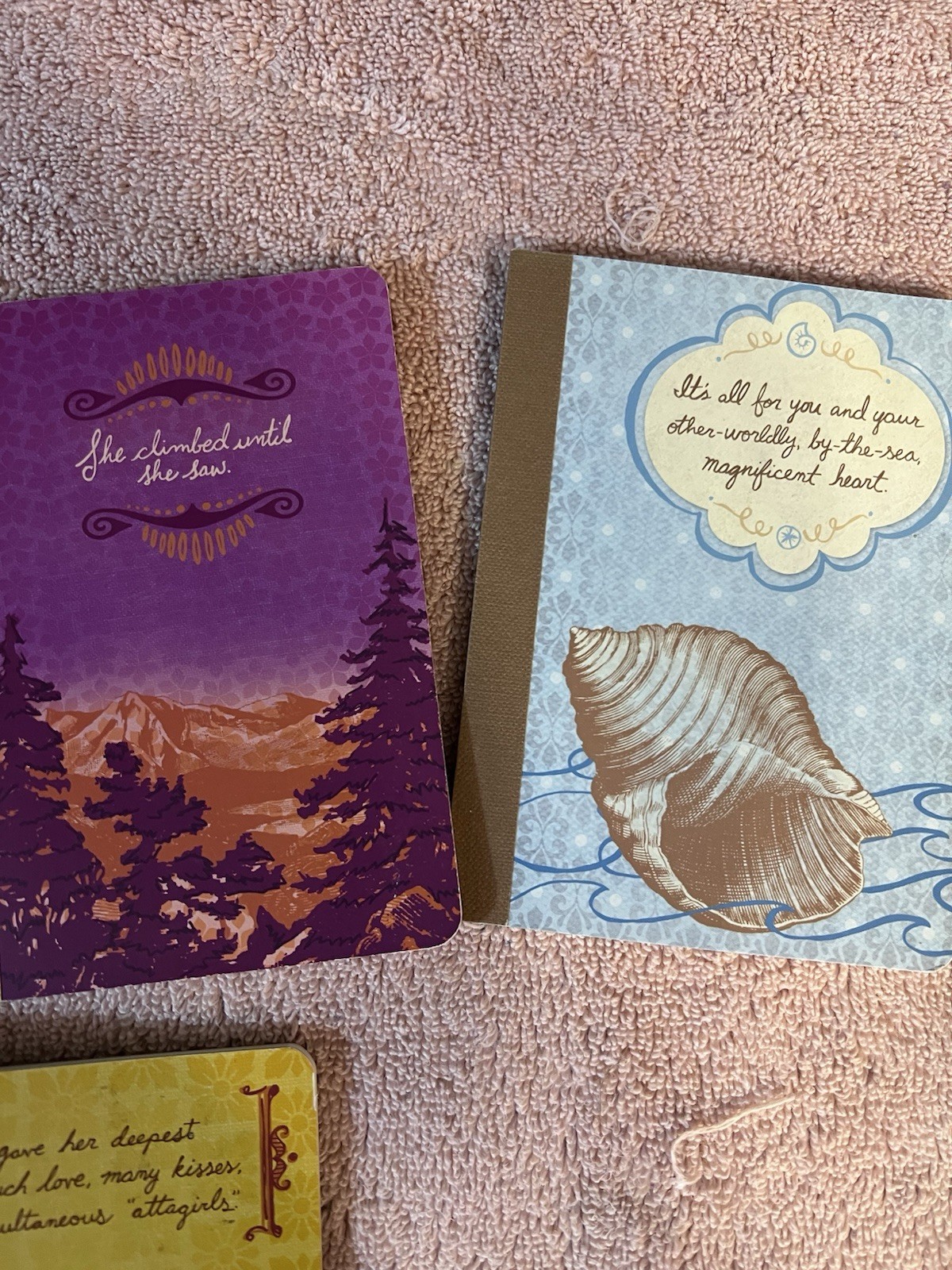 Live Inspired Illustrated Mini Journals Set, Assorted Designs