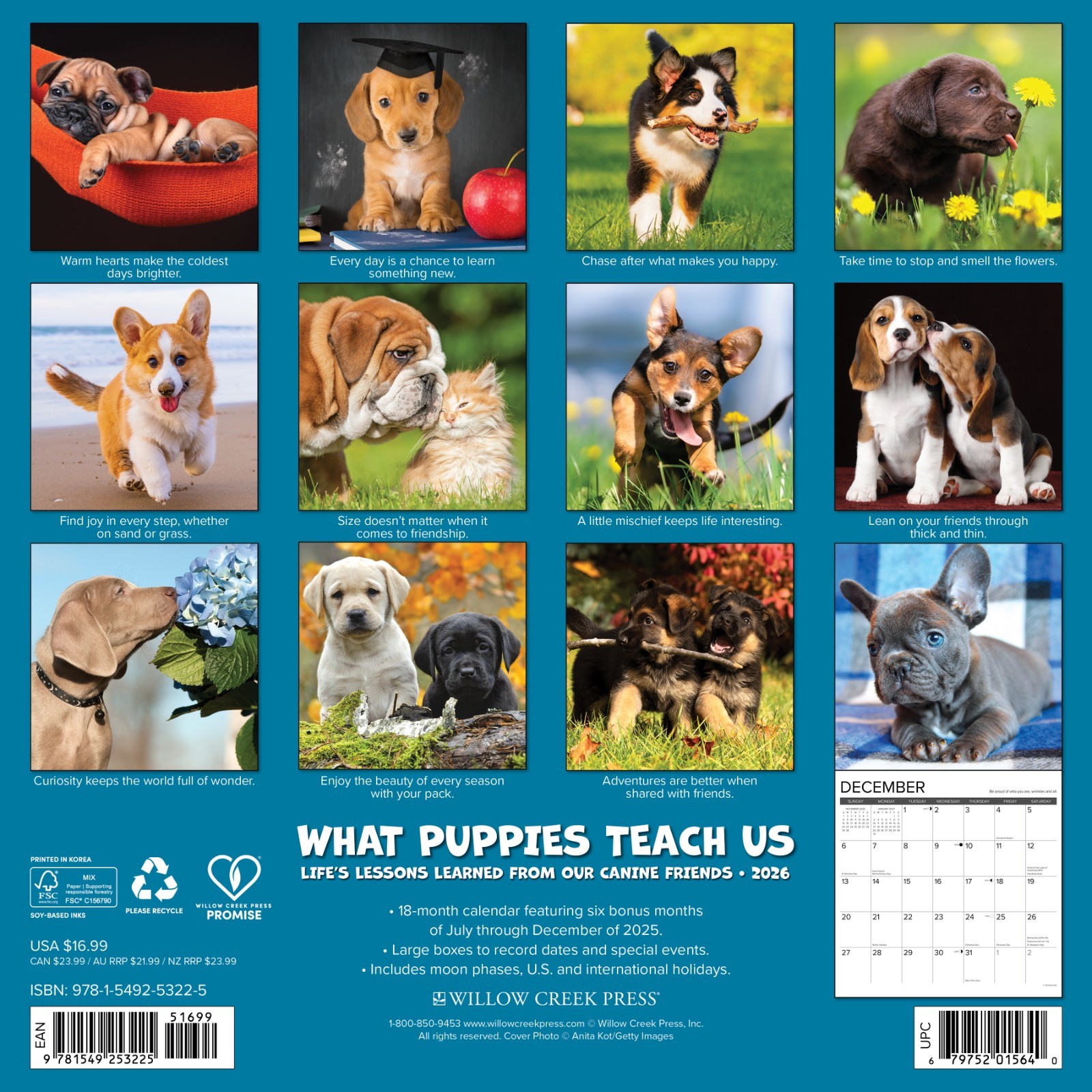 What Puppies Teach Us 2026 12″ x 12″ Wall Calendar (free shipping)