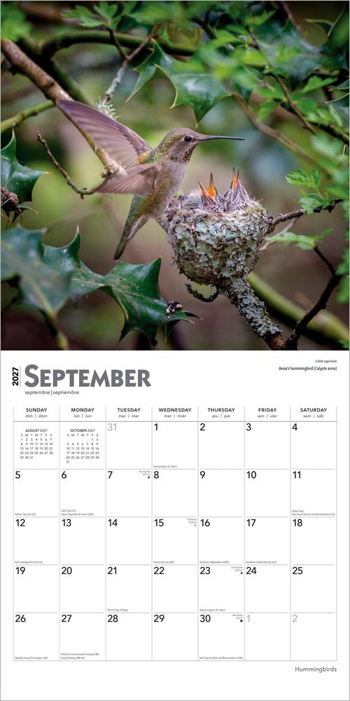 Hummingbirds | 2027 12×24″ (Hanging) Monthly Square Wall Calendar | Plastic-Free