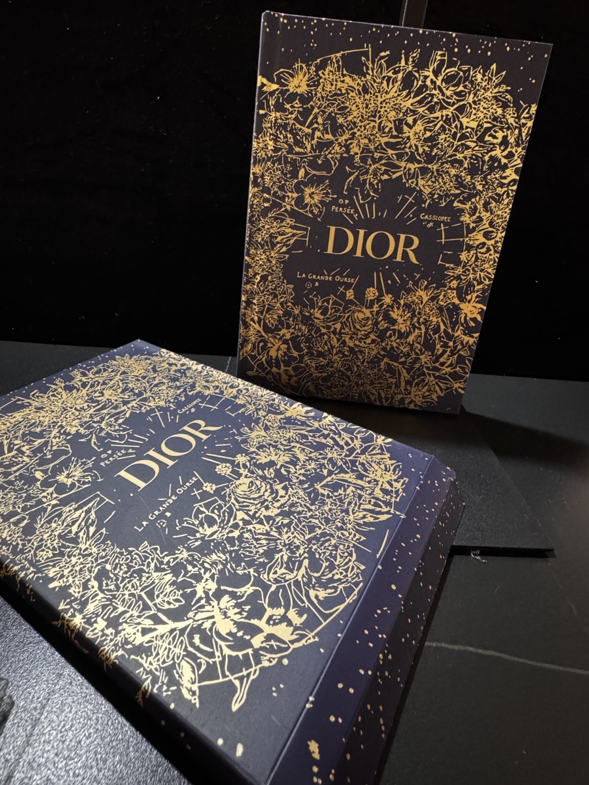 Christian Dior Novelty Notebook Blue Gold Limited Coffee Table Book NEW