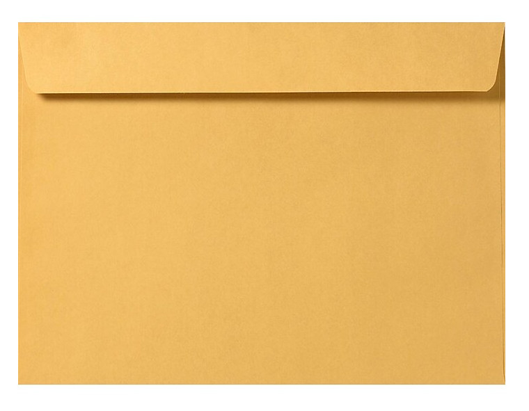 Cashier Depot 10″ x 13″ Booklet Envelopes, Premium 28lb Kraft, Gum Flap, 100/Box