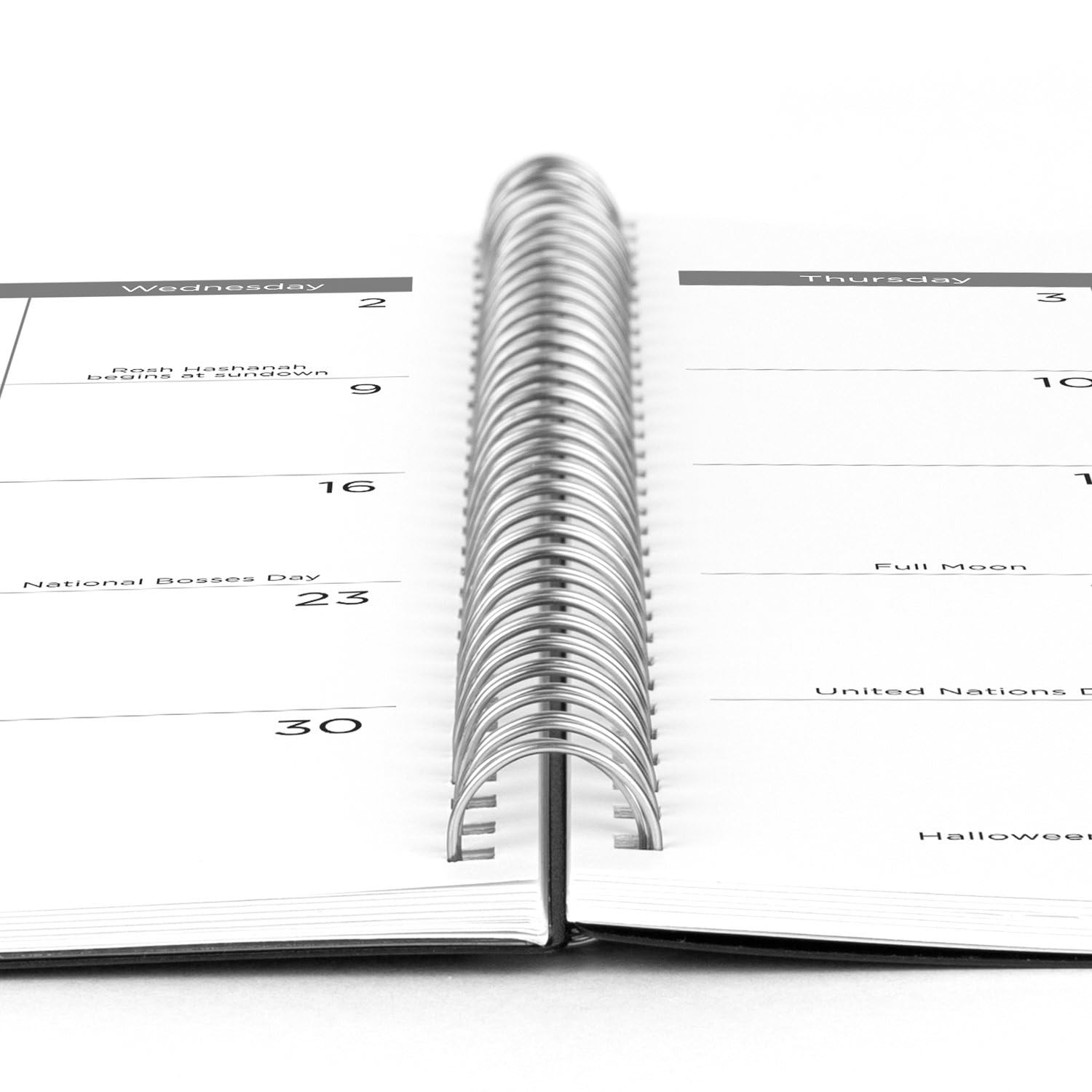 Mead 2025 Planner, Weekly & Monthly, 15-Month, 8-1/2″ x 8.5″ x 11″, Black
