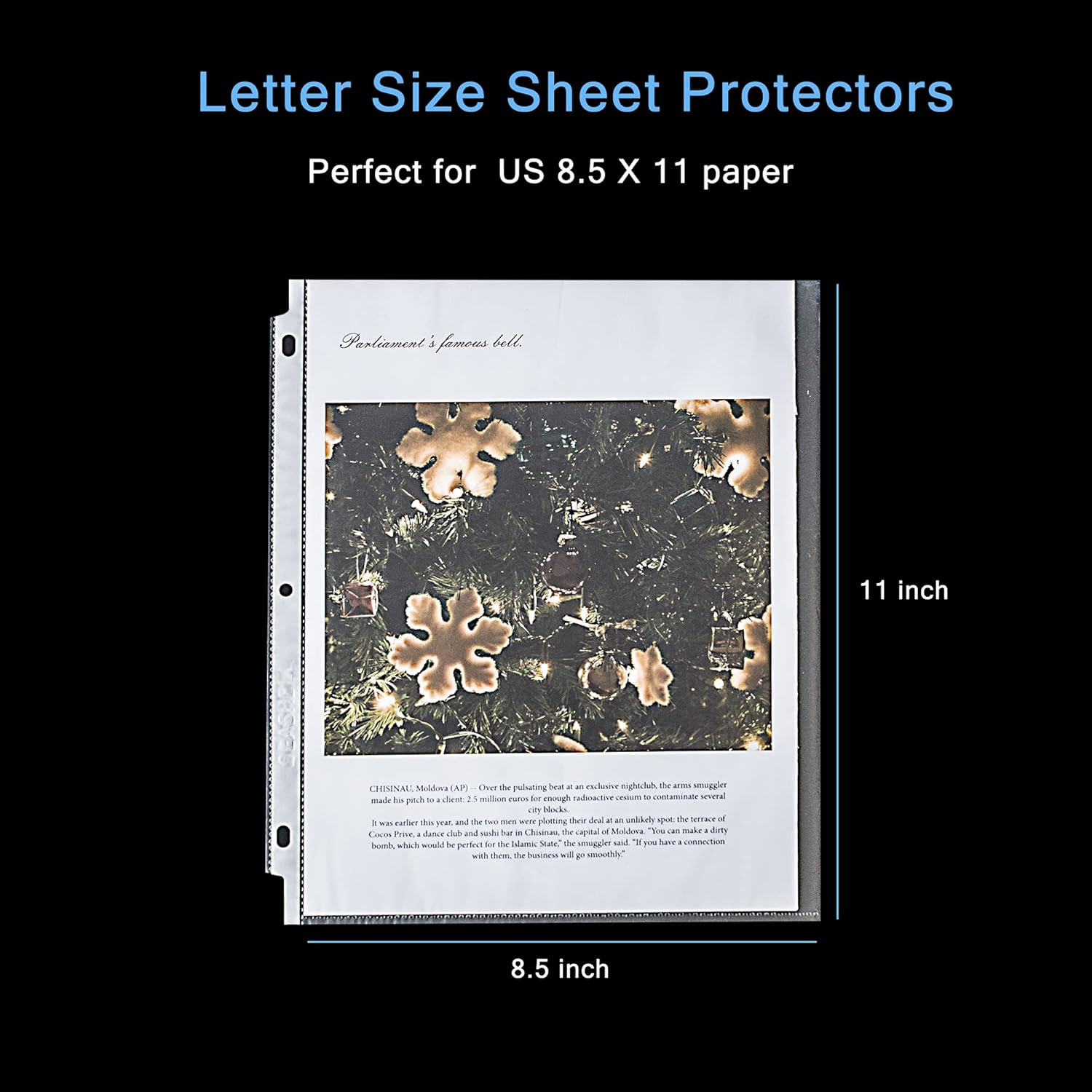 100 Economy Non-Glare Sheet Protectors, Plastic Page Protectors for 3 Ring Binde