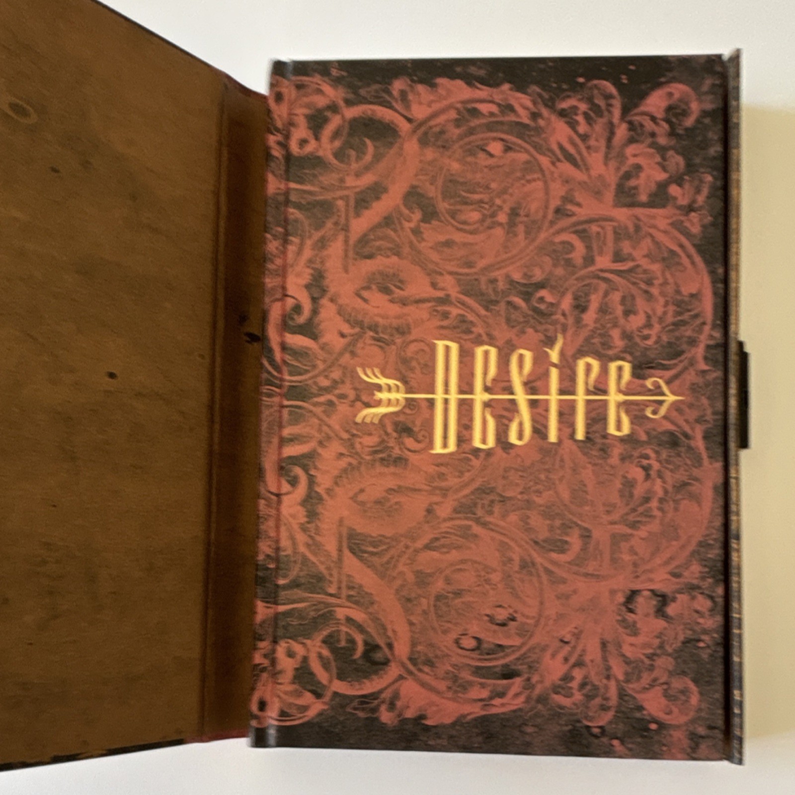 Chronicle Books Desire Private Journal Diary, Illustrated Lined Pages