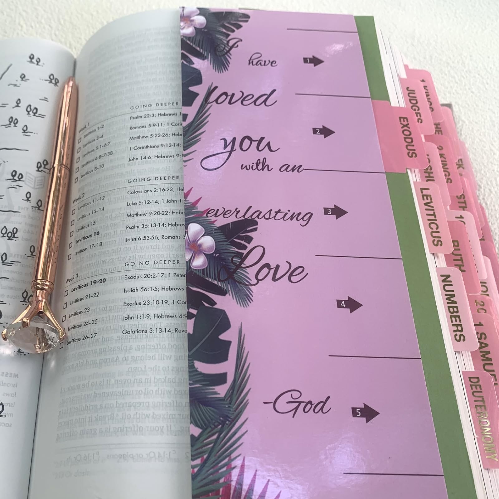 Pink Bible Tabs, Large Print Laminated Bible Tabs for Women and Men – Easy to…