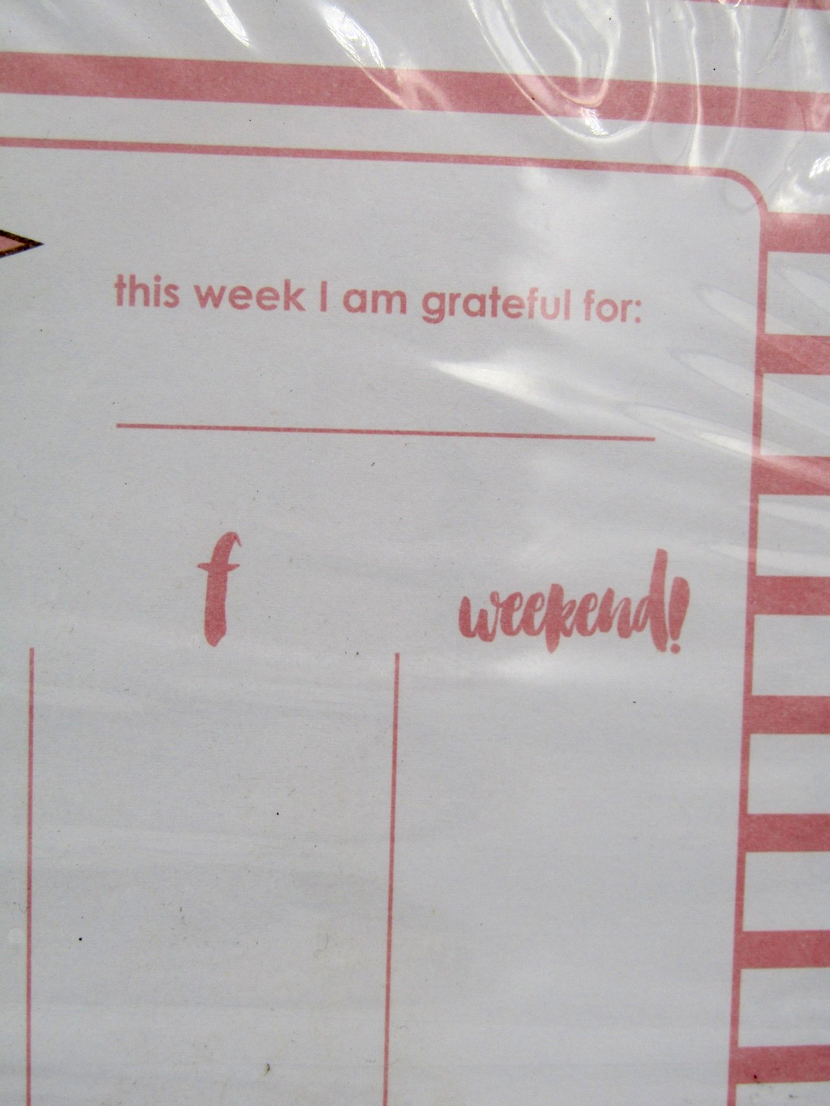 (15-Pack) Pink Bow Weekly To Do List Notepad 9×7 Inch Desk Planner w/ 52 Sheets