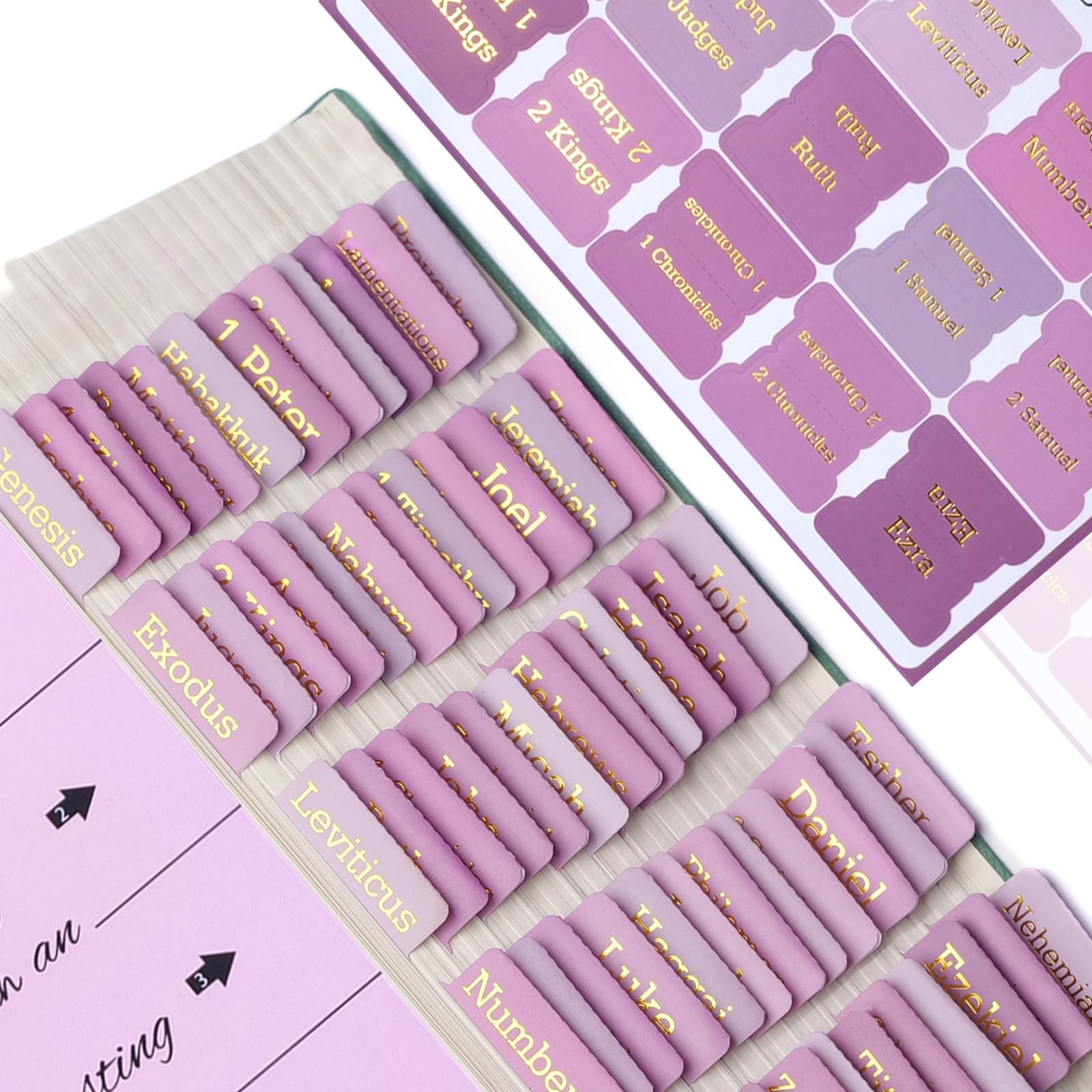 Pink Bible Tabs for Women & Men，Gold Foil Lettering Laminated Bible BookTabs,…