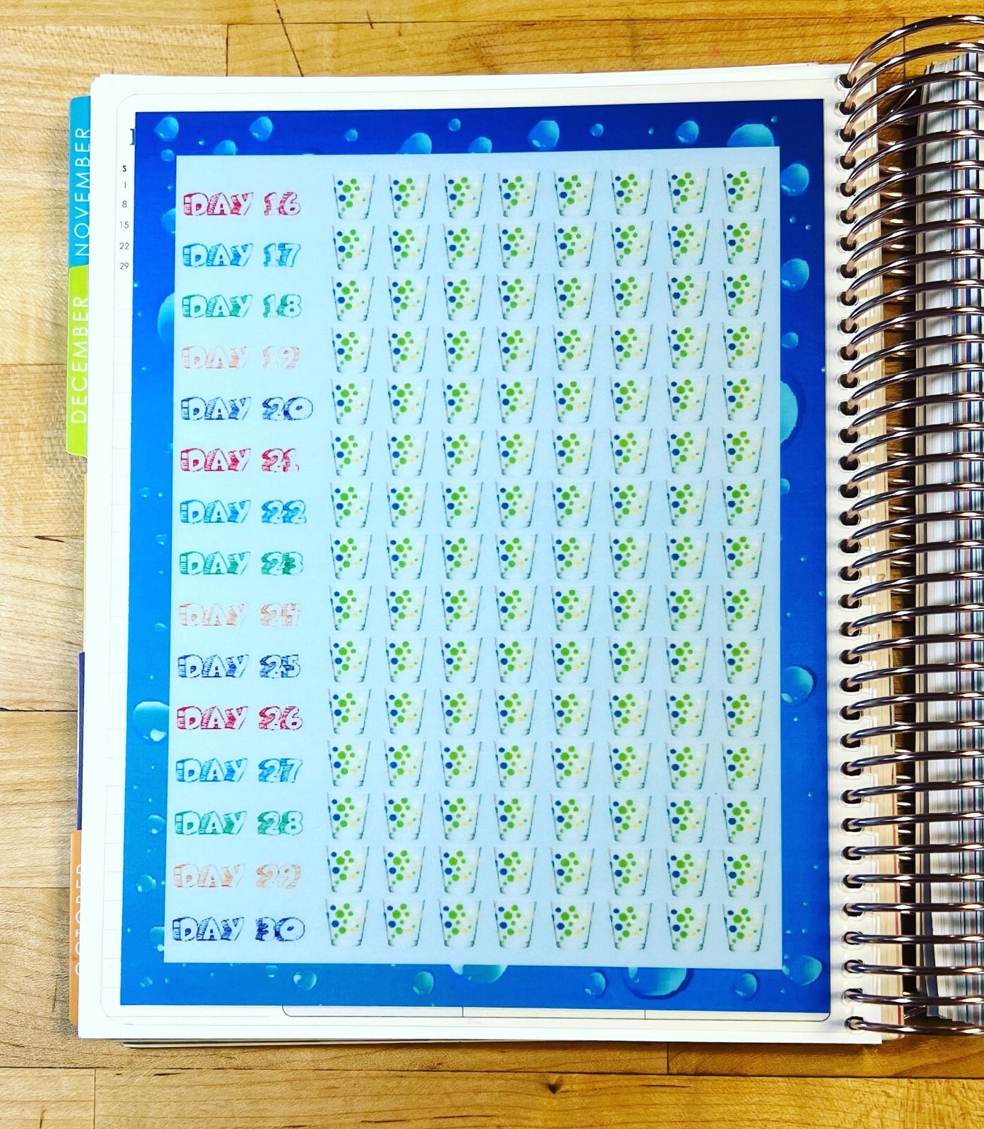 30 Day Water Challenge Dashboard Insert for Erin Condren Life Planner-