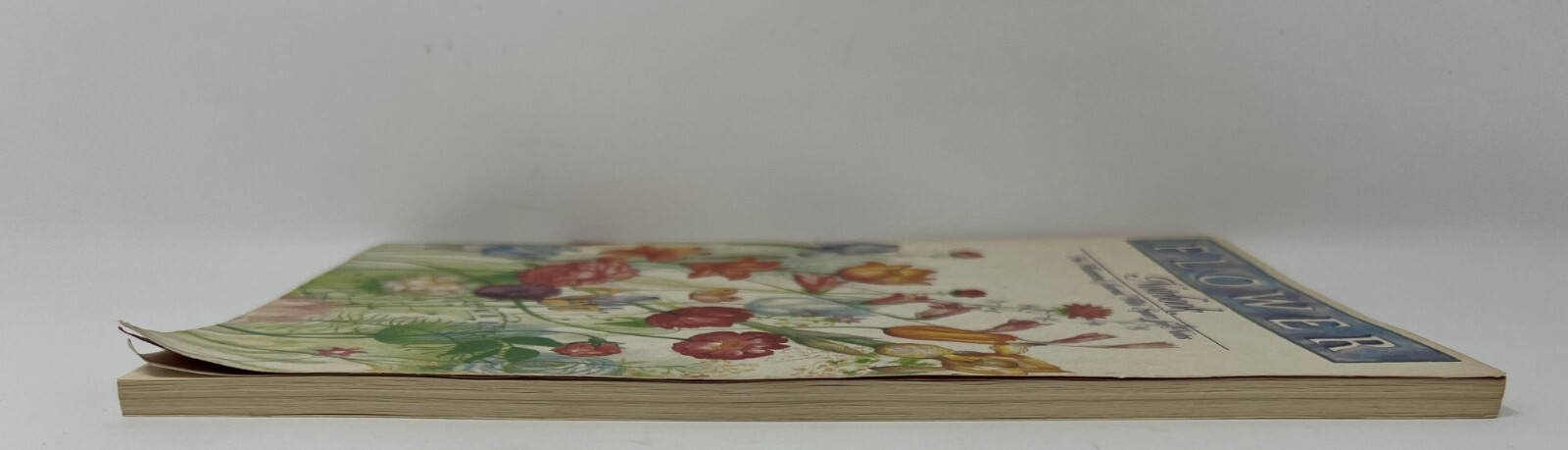 Flower Notebook: Illustrated Journal w/ Space for Notes – 1985 PB Running Press