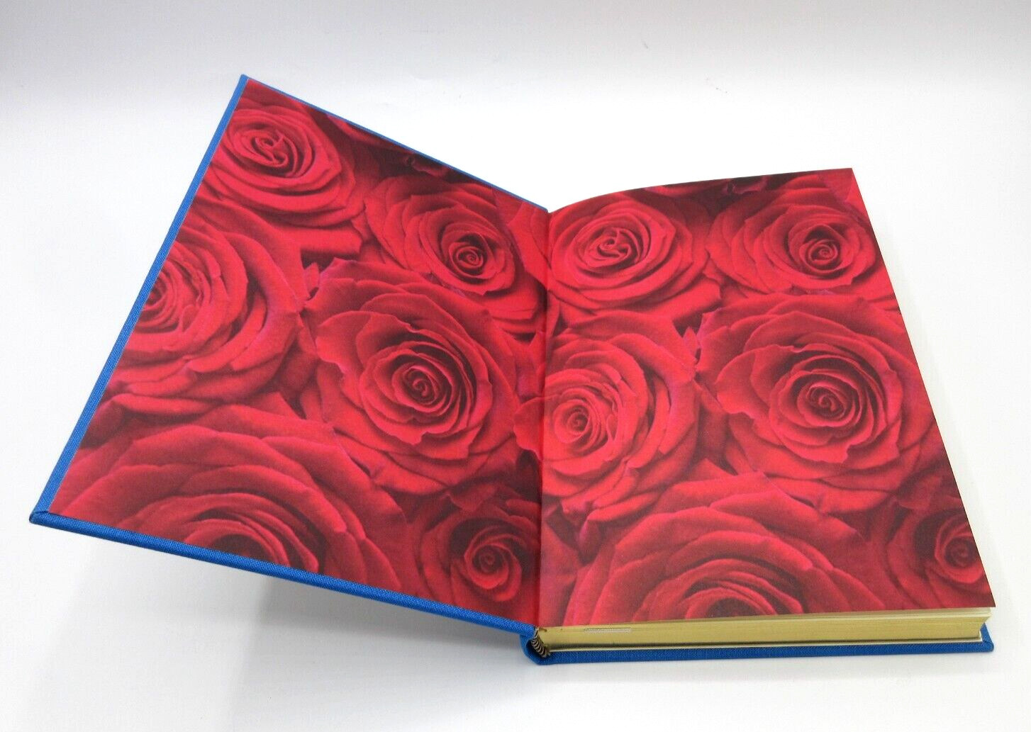 Rock of Ages Journal 8″ Hardcover 224 Lined Pages BLUE