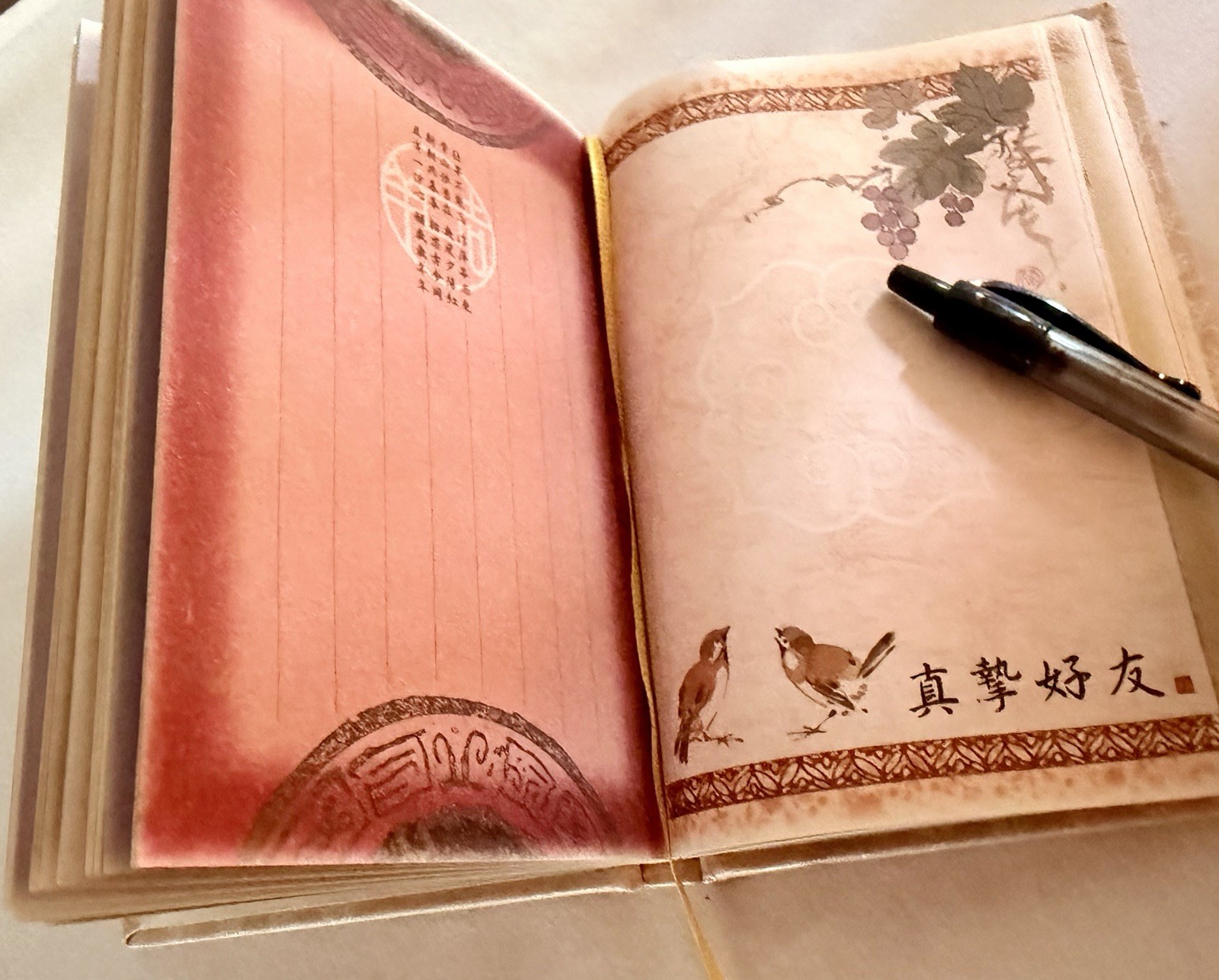 Beautifully Illustrated Chinese Blank Journal CL85301