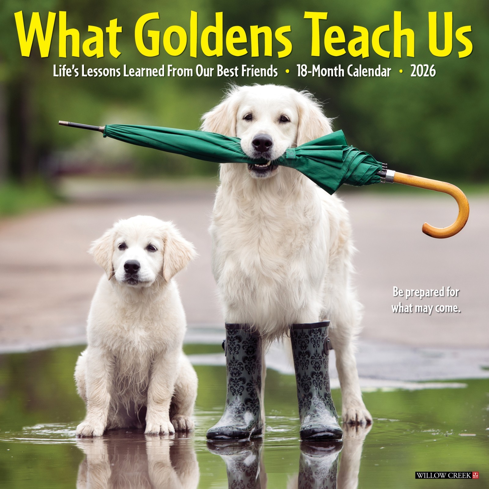 What Goldens Teach Us 2026 12″ x 12″ Wall Calendar (free shipping)
