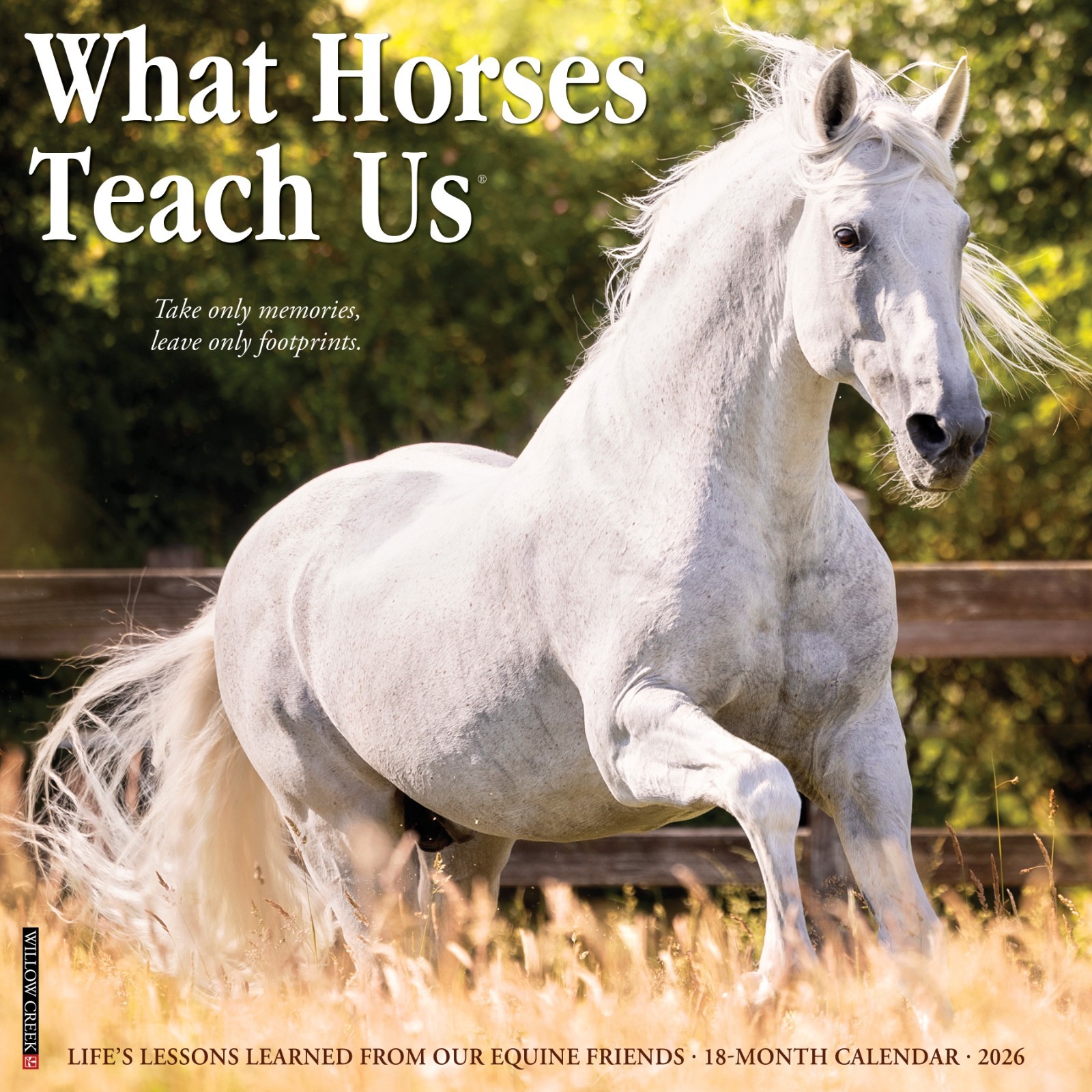 What Horses Teach Us 2026 12″ x 12″ Wall Calendar (free shipping)