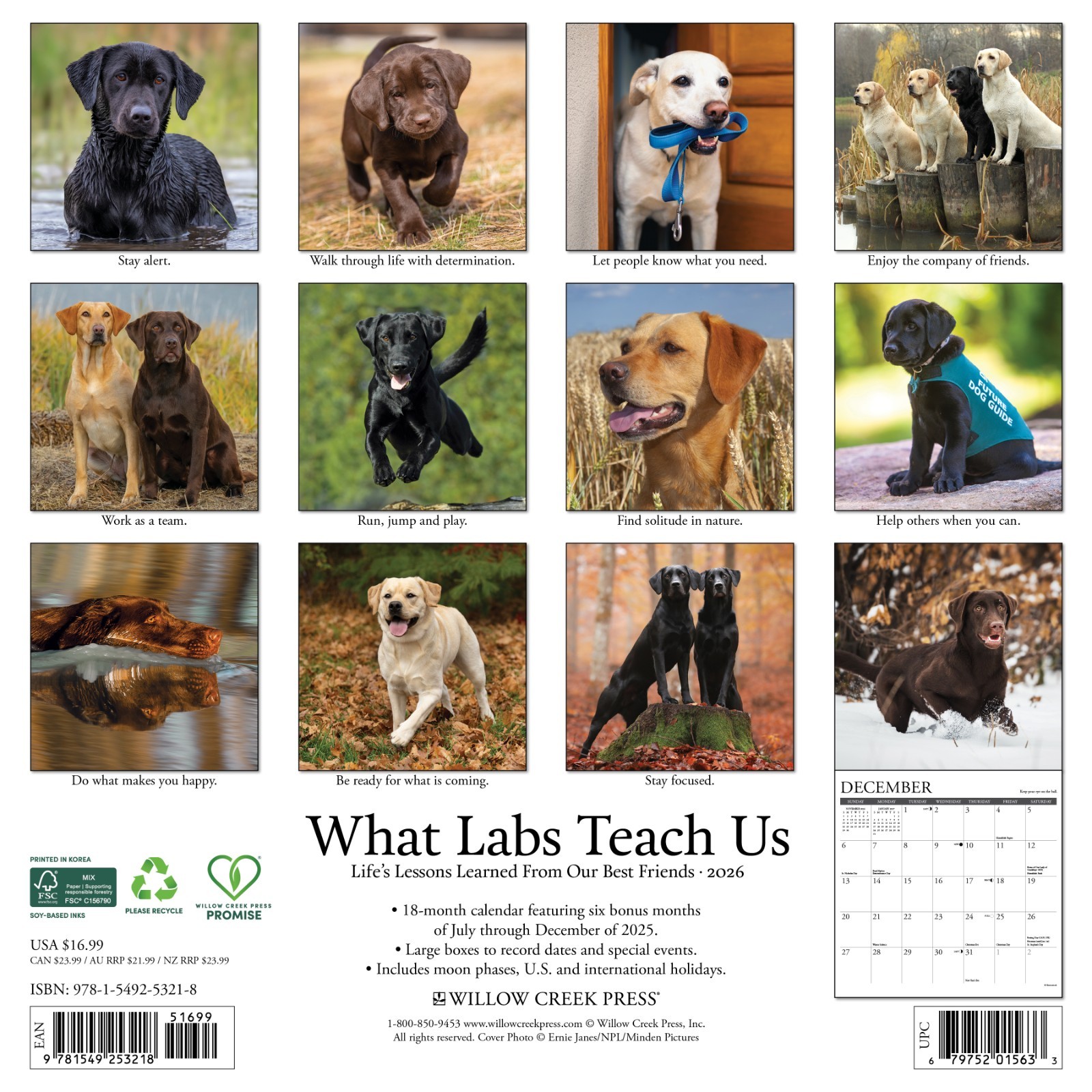 What Labs Teach Us 2026 12″ x 12″ Wall Calendar (free shipping)