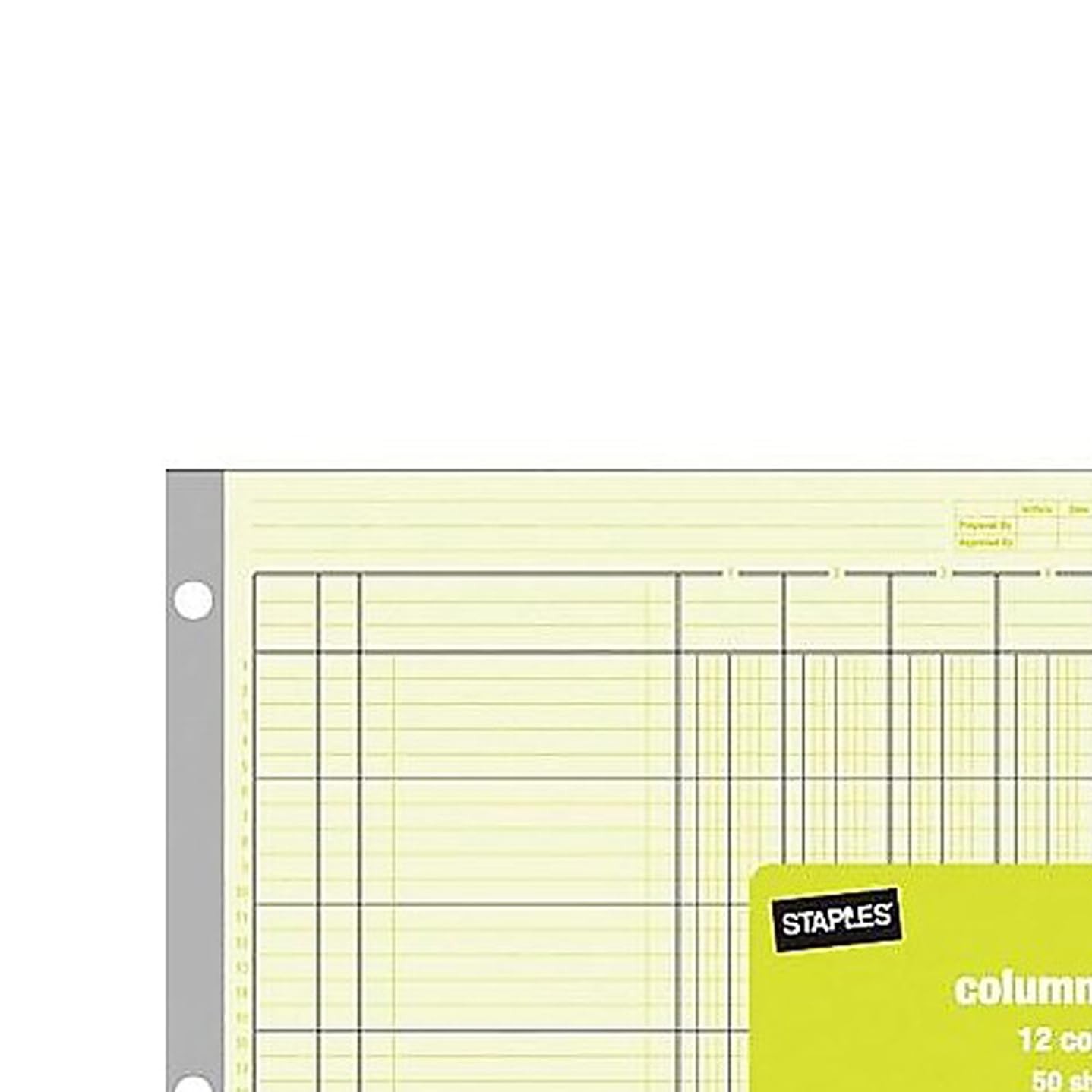 Staples Columnar Book, 12‑Column Accounting Ledger, Green Analysis