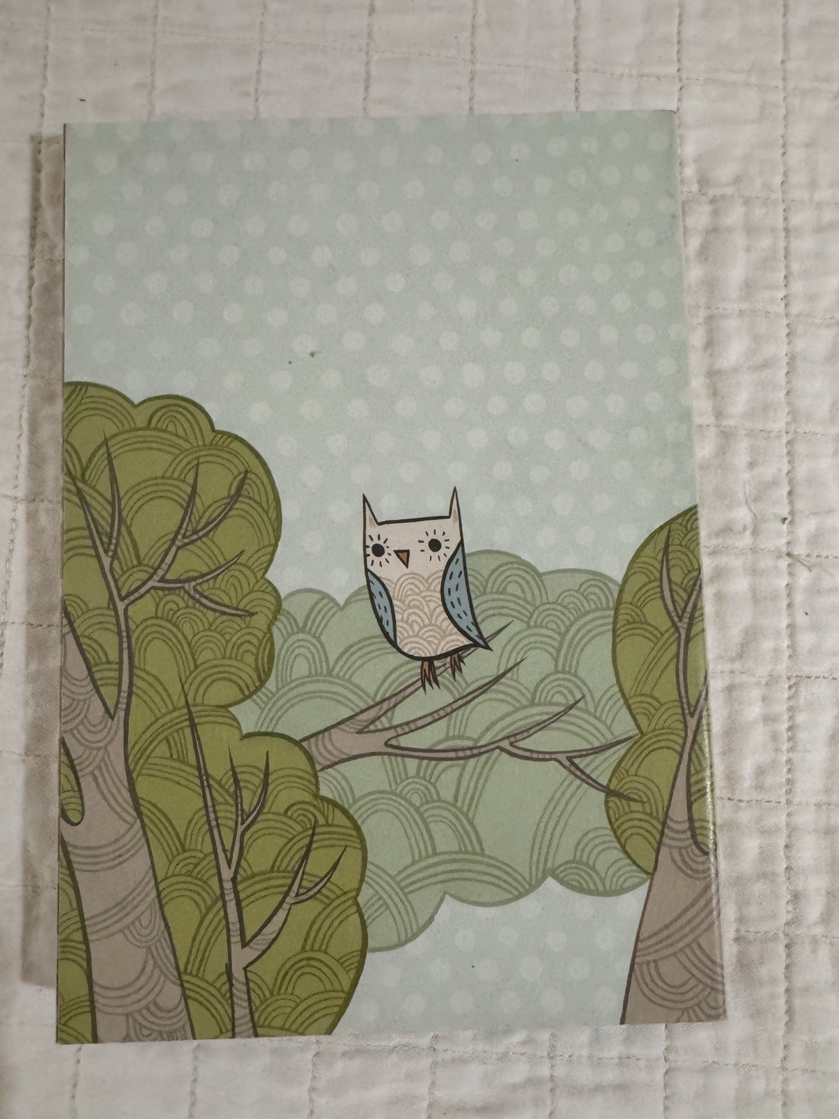 Barnes & Noble Chronicle Books Owl Illustrated Journal Notebook Notepad Unique