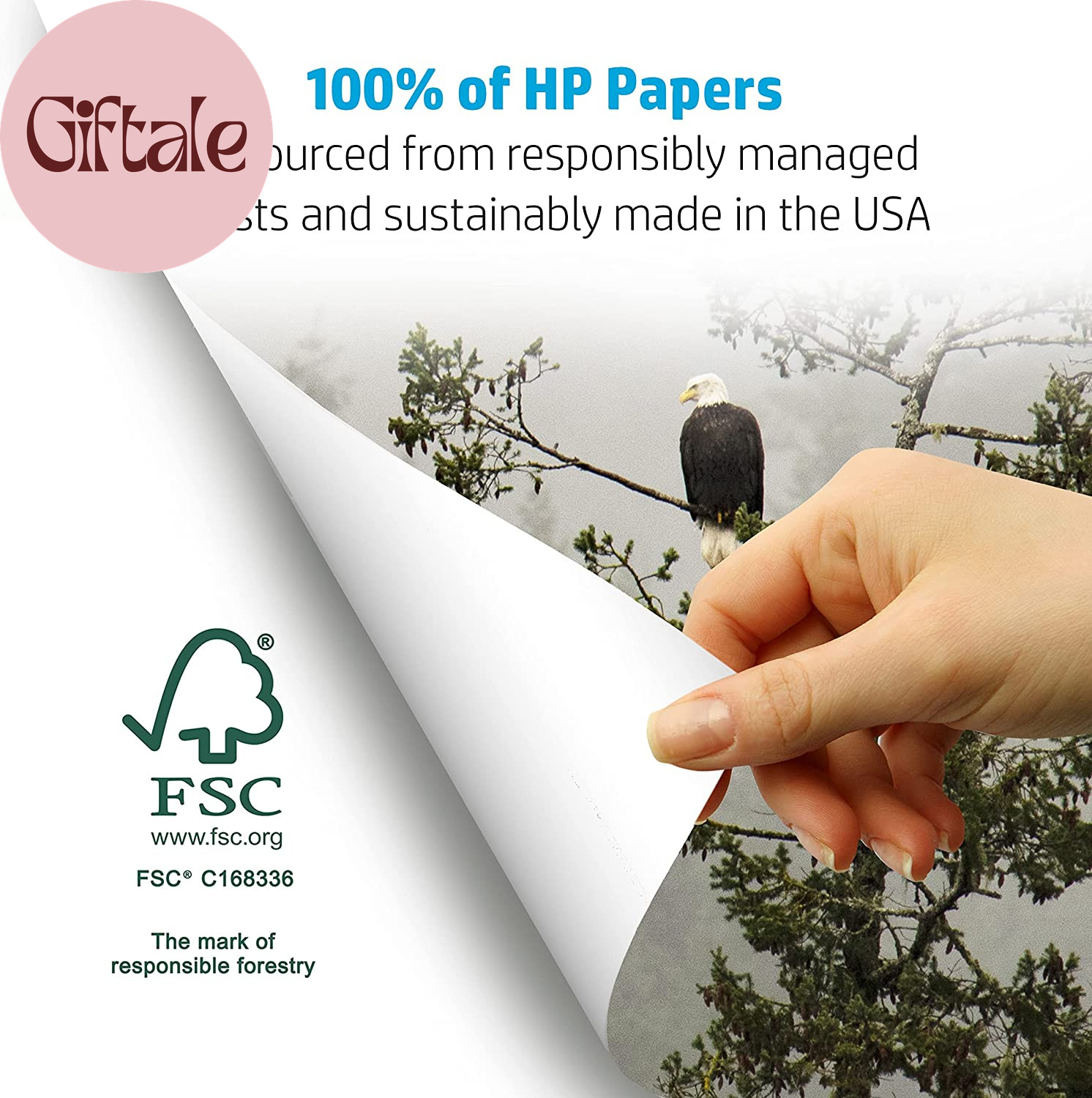 HP Printer Paper | 8.5 X 11 Paper | Copy &Print 20 Lb | 1 Ream Case – 500 Sheets