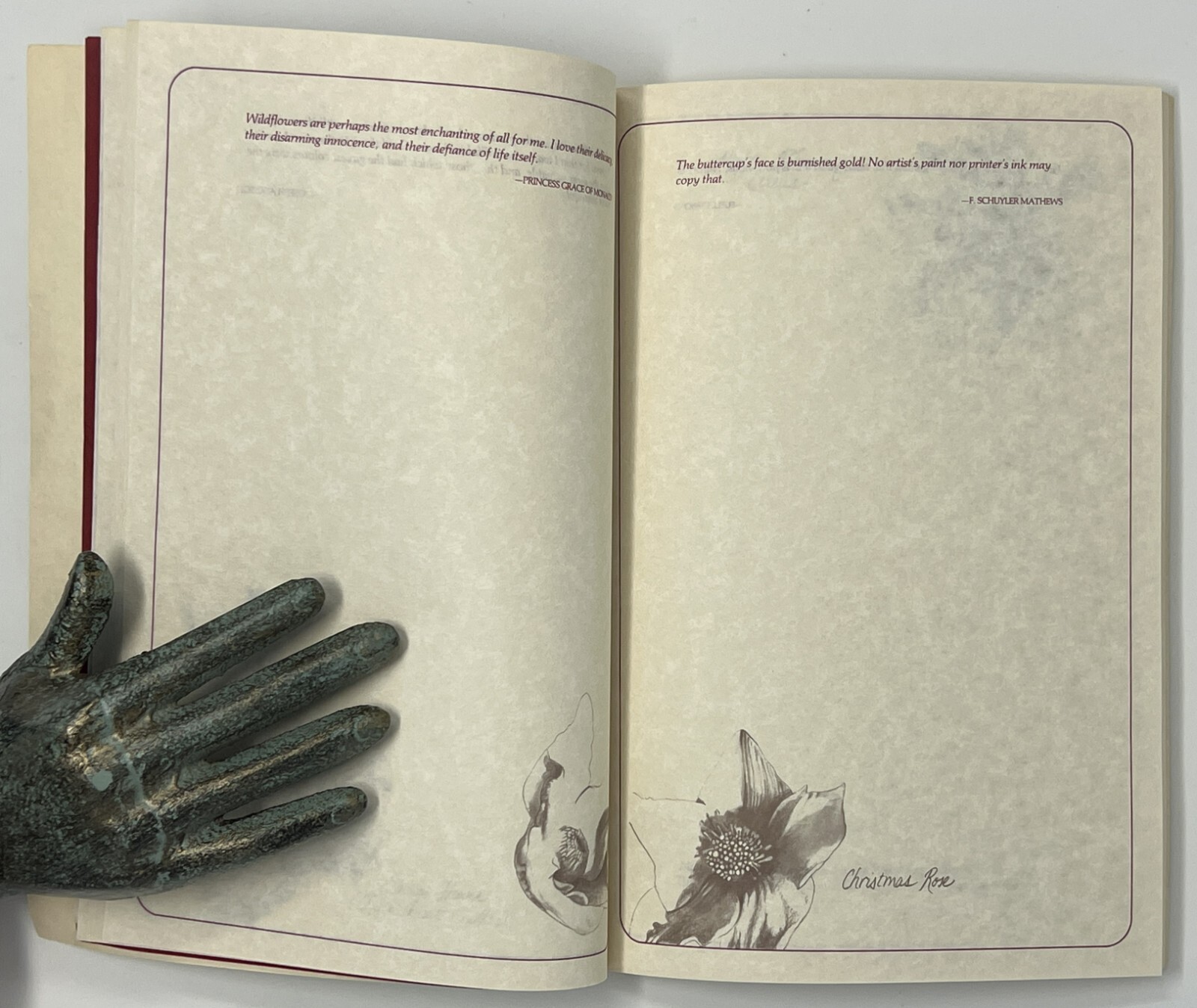 Flower Notebook: Illustrated Journal w/ Space for Notes – 1985 PB Running Press