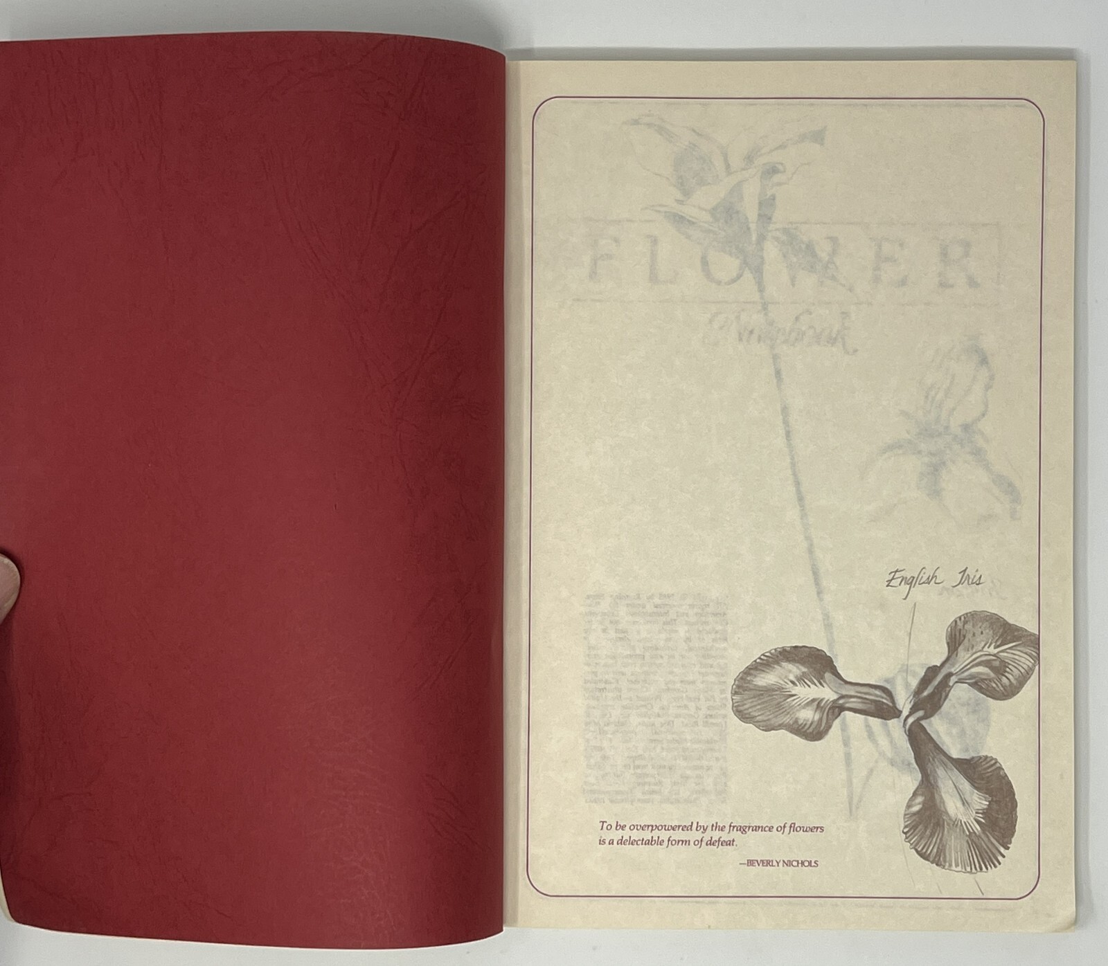 Flower Notebook: Illustrated Journal w/ Space for Notes – 1985 PB Running Press