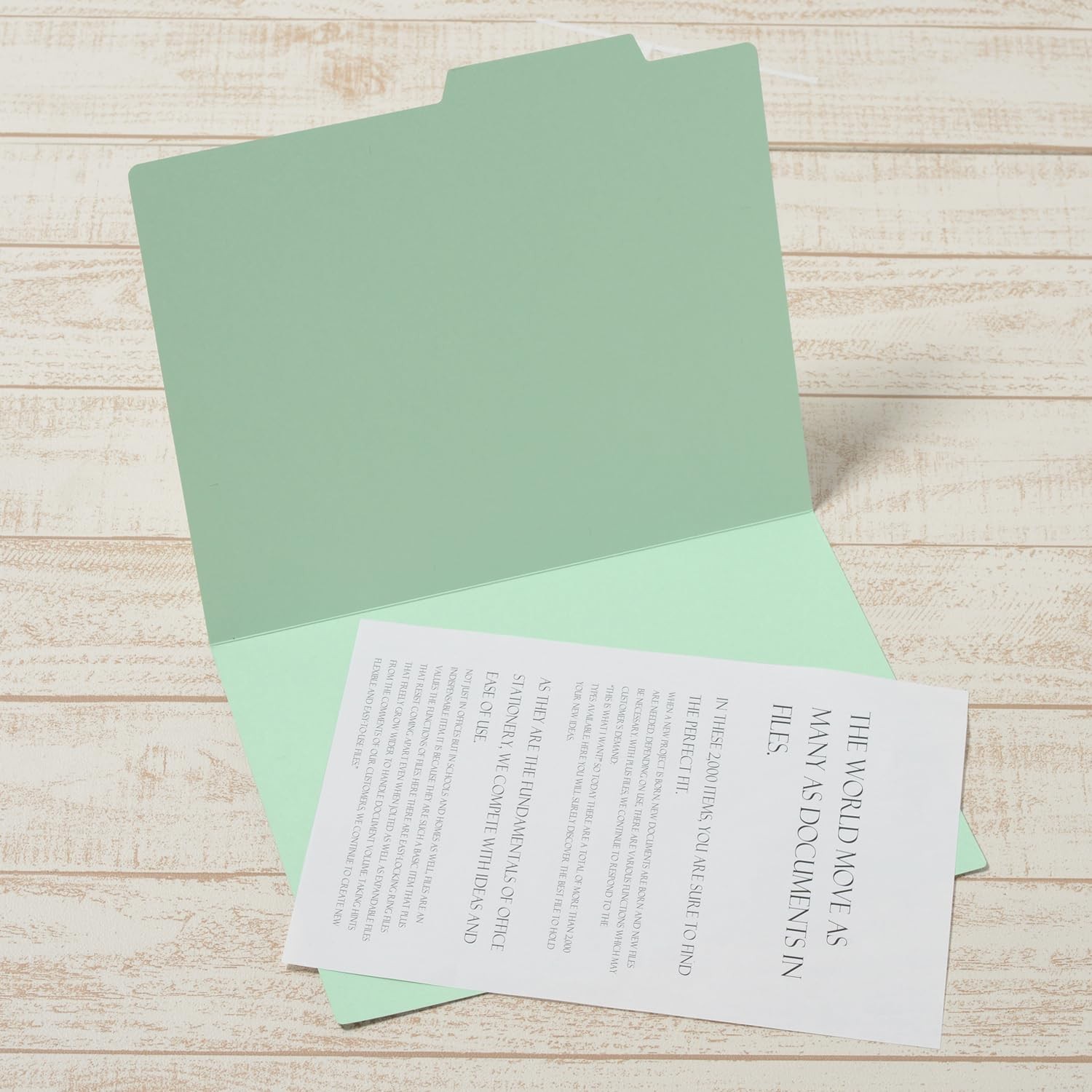 PLUS Individual Folders, Recycled Paper, A4-E, 5-Color Assortment, 5-Set (FL-061