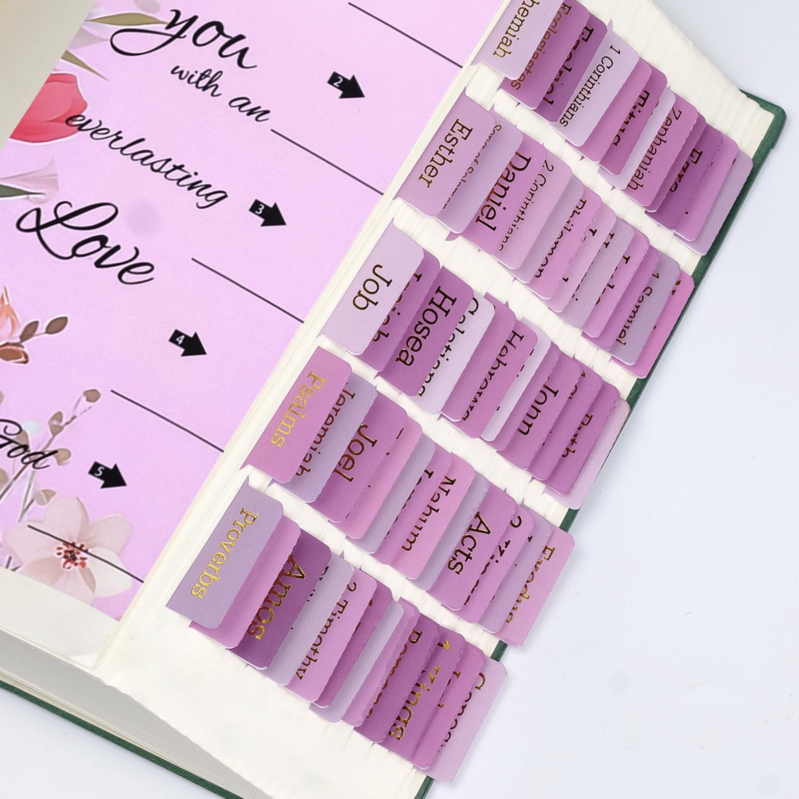 Pink Bible Tabs for Women & Men，Gold Foil Lettering Laminated Bible BookTabs,…