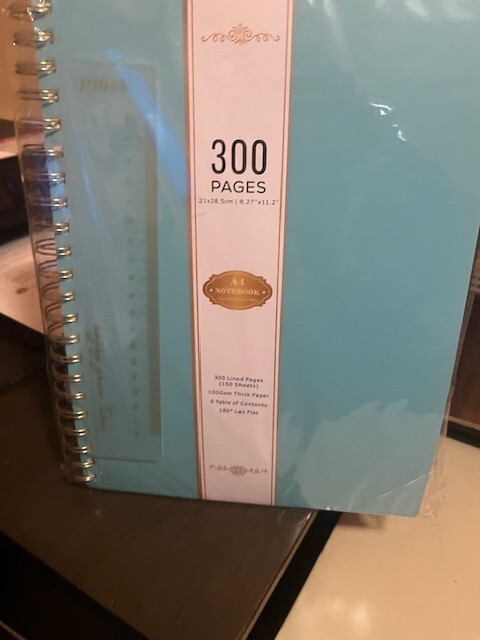 Large A4 Spiral Notebook, College Ruled Journal,300 Pages, 8.27″ × 11.2″, Lt. Bl