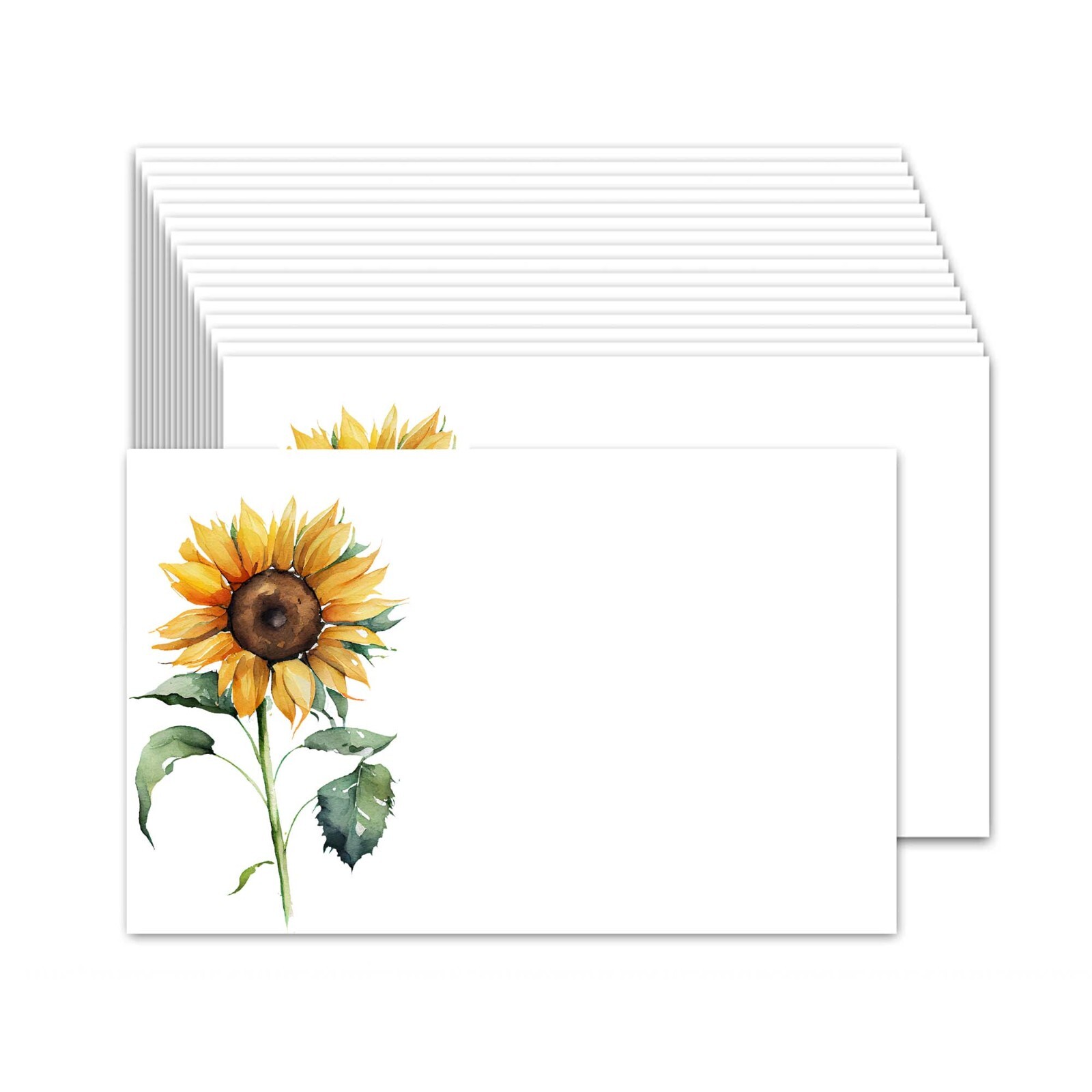 50 Cute Index 4″x 6″ Cards, Card stock, Floral Blank Note cards – Sunflower