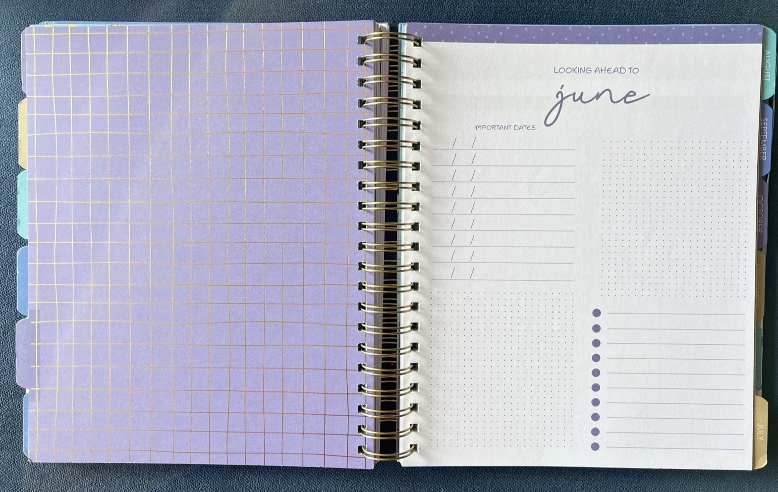 17 Month Planner BLUE BOWS FLOWER Aug 2025 – Dec 2026 Weekly Planning Note Gift