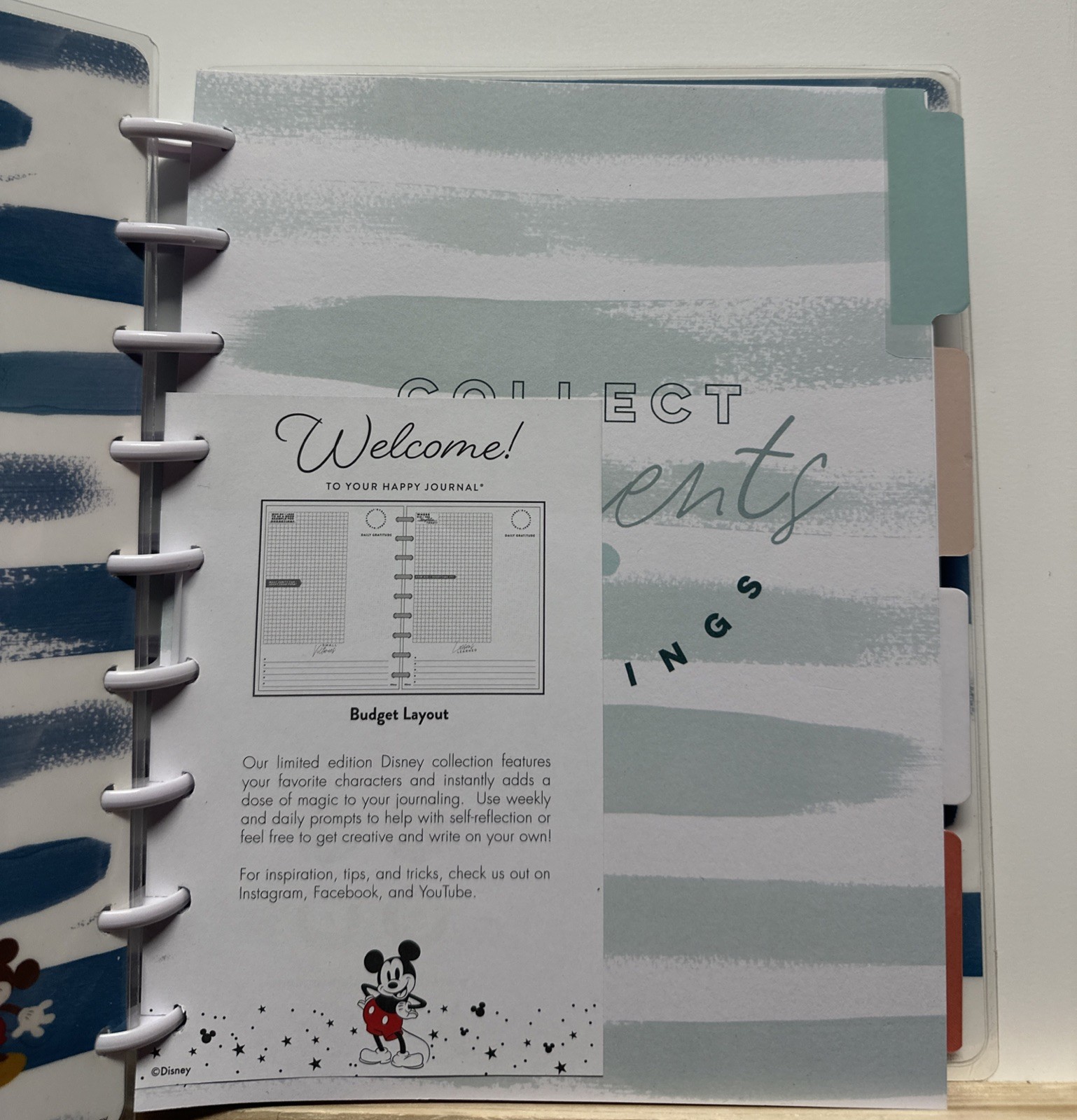 The Happy Planner Disney Plan To Save Budget Guided Journal Mickey Minnie NEW