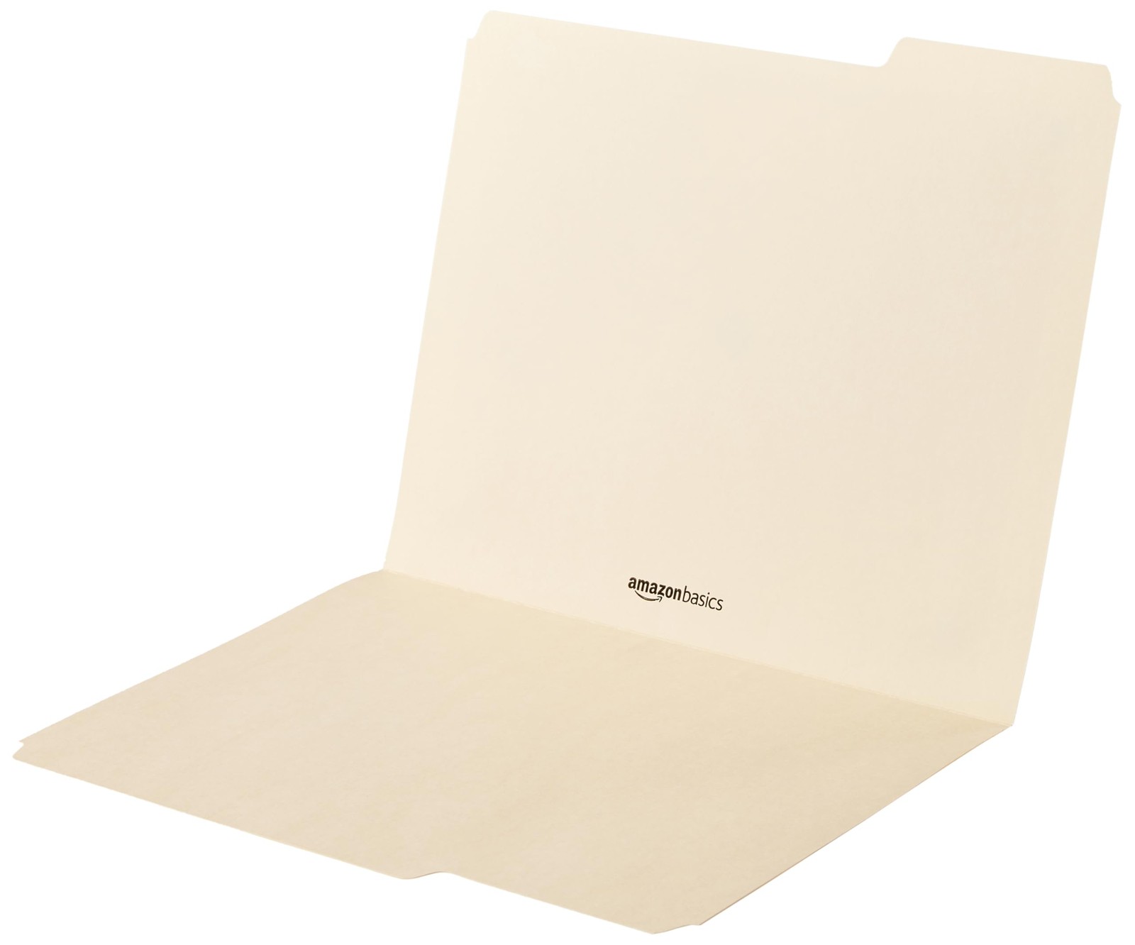 Basics Sturdy File Folders with Reinforced Tabs for Filing and Organizati