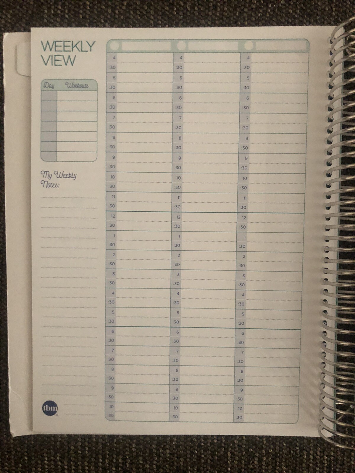 The Budget Mom/ Live Rich Planner /Monthly Calendar/ Personal Finance/ Stickers