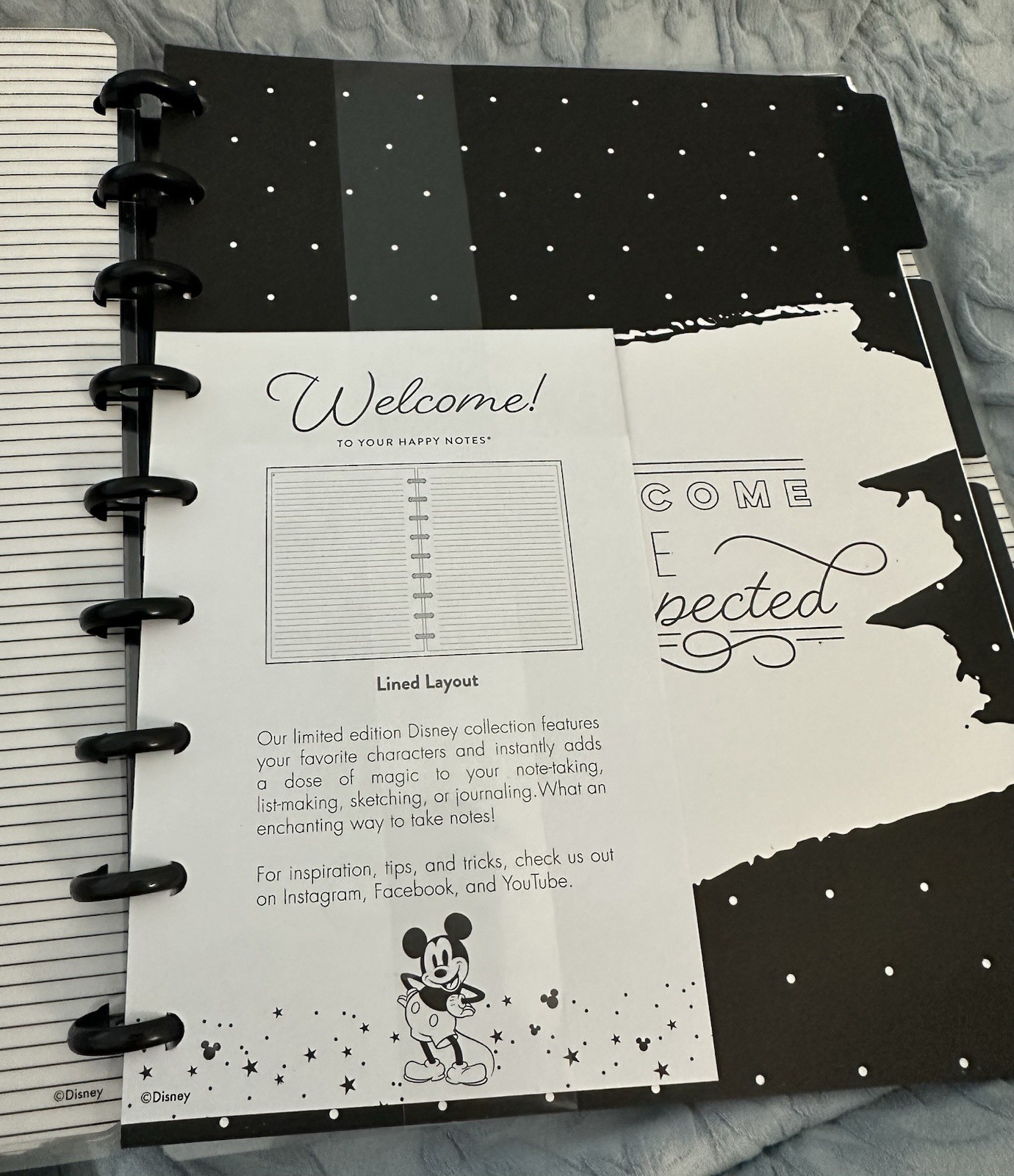 Disney Mickey & Minnie Happy Planner 60 page – Help organize the New Year!