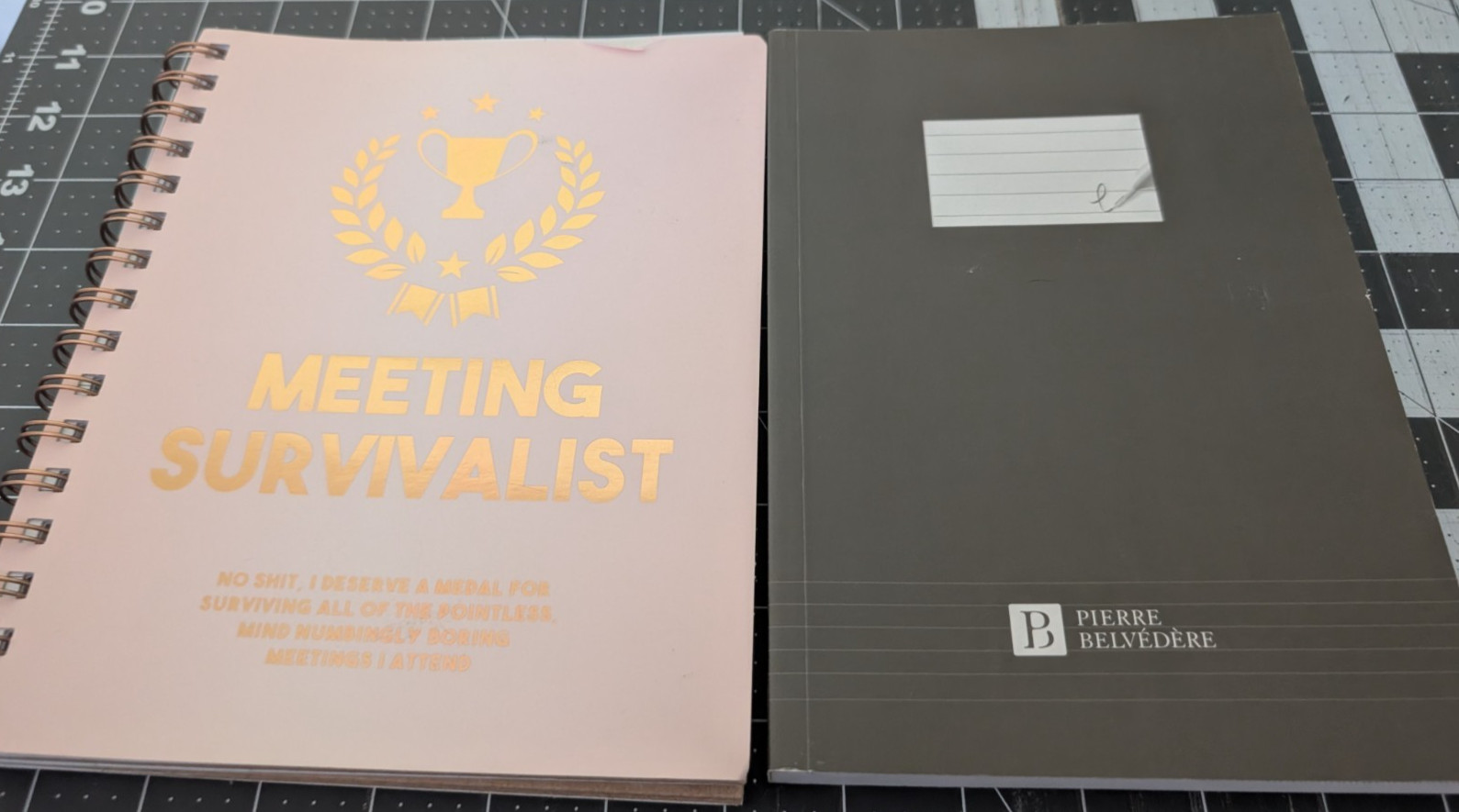 2 Notebooks – NEW – see description and pictures – both approx 8.5″ x 7.5″