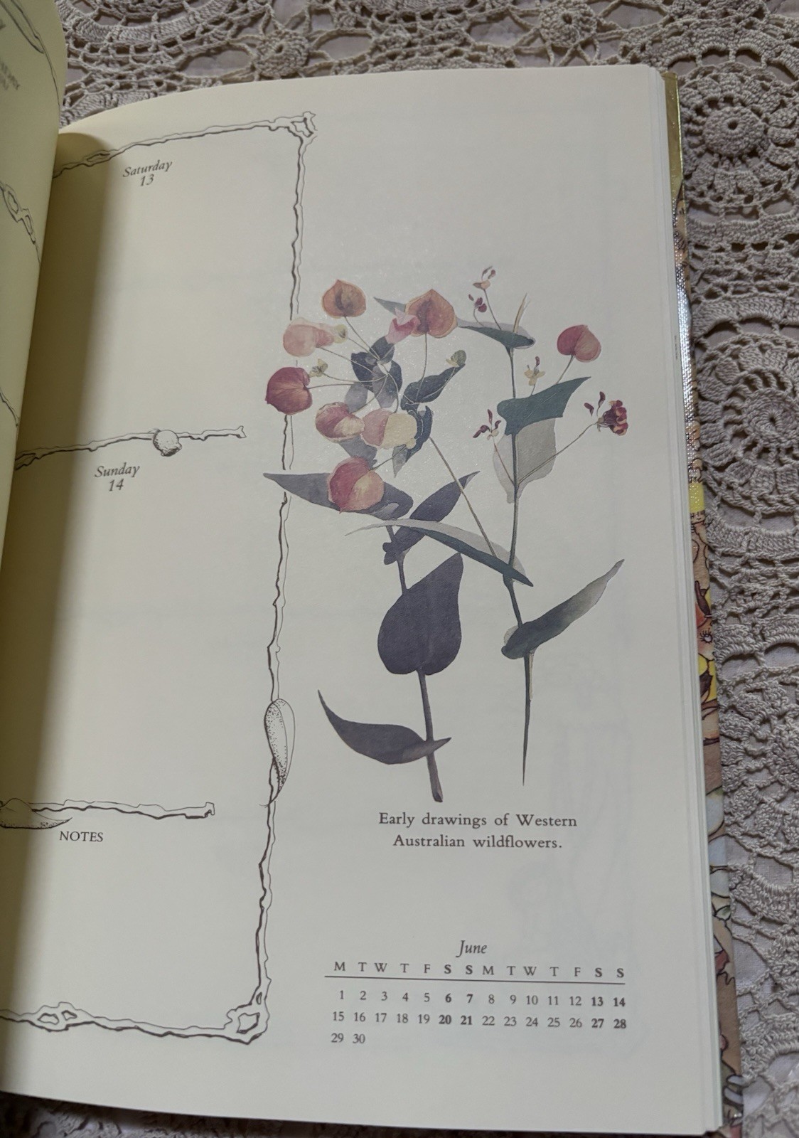 VTG May Gibbs Diary ‘92 Hardback Gumnut and Wildflower Bush Babies Gorgeous Pics