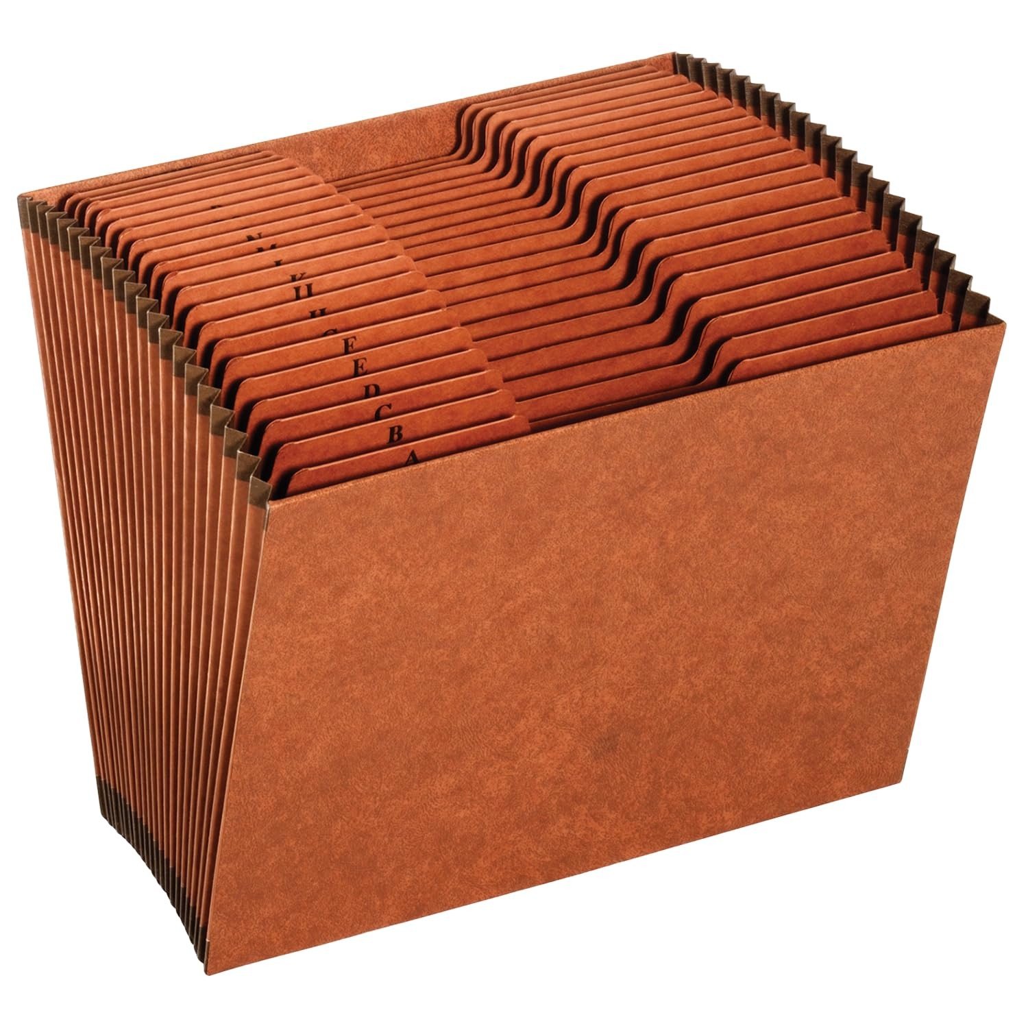 GlobeWeis Pendaflex Heavy Duty Expanding File, File Organizer for School, Hom…