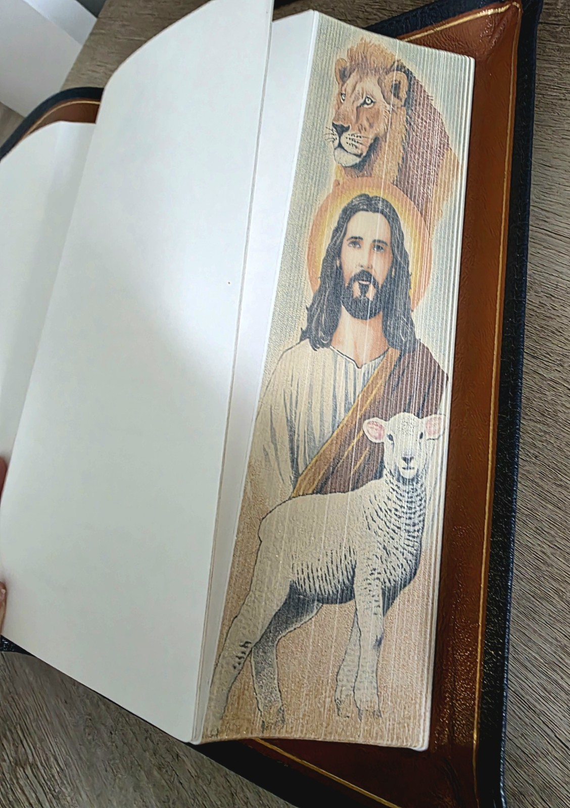 Humble Lamb Lamb’s Journal Sahara Blue Full-Grain Goatskin Leather, Illustrated