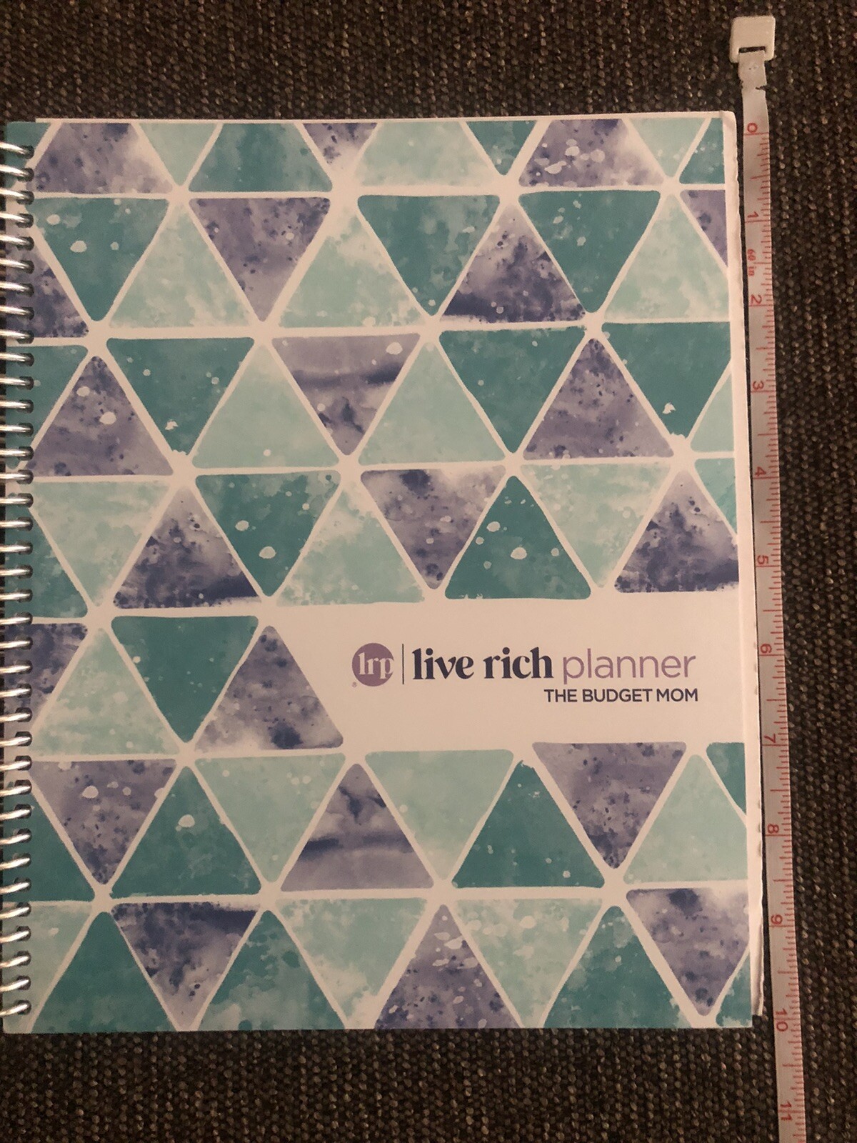 The Budget Mom/ Live Rich Planner /Monthly Calendar/ Personal Finance/ Stickers