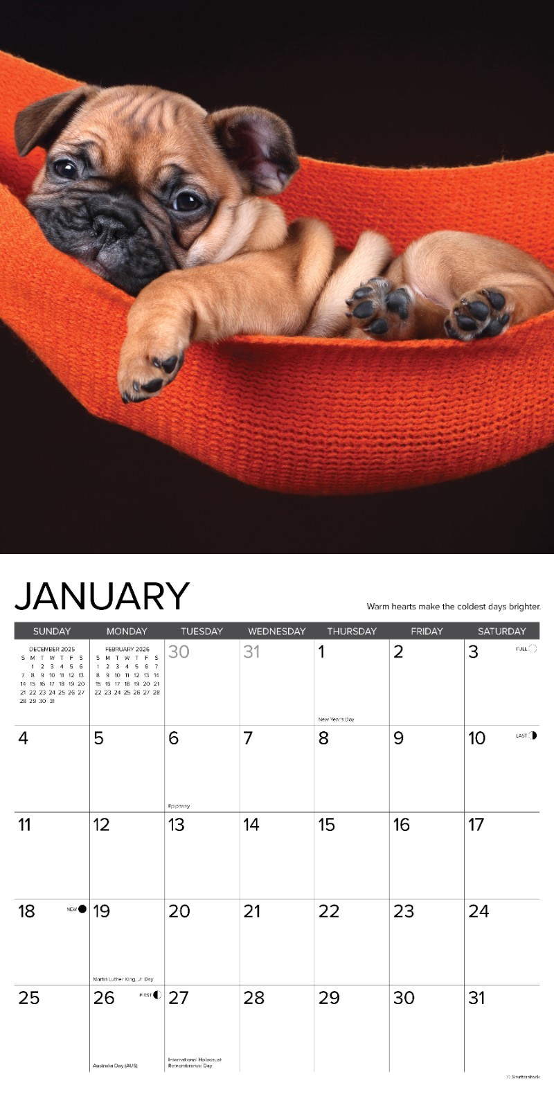 What Puppies Teach Us 2026 12″ x 12″ Wall Calendar (free shipping)
