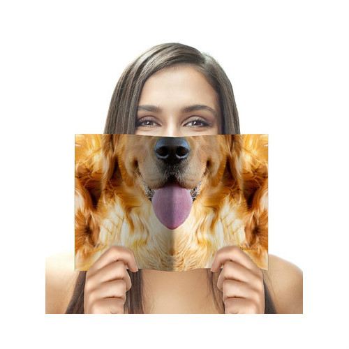 MollaSpace Sniffing Notebook, DOG 5.8 X 8.3 inches disguise yourself behind book