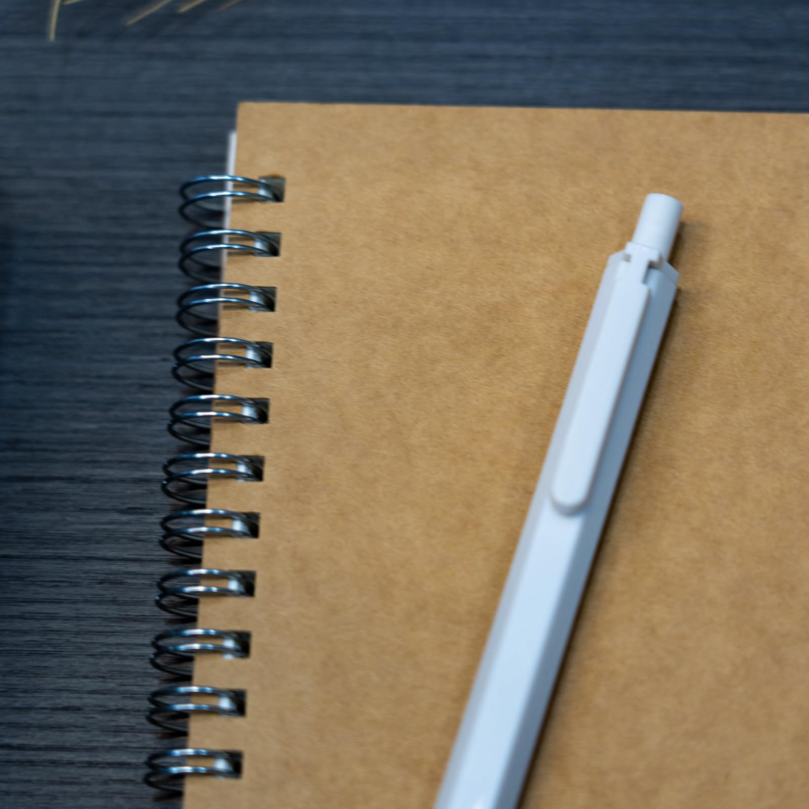 DSTELIN 10 inch x 7.5 inch, 100GSM, Blank Spiral Notebook, 1-Pack, Soft Brown