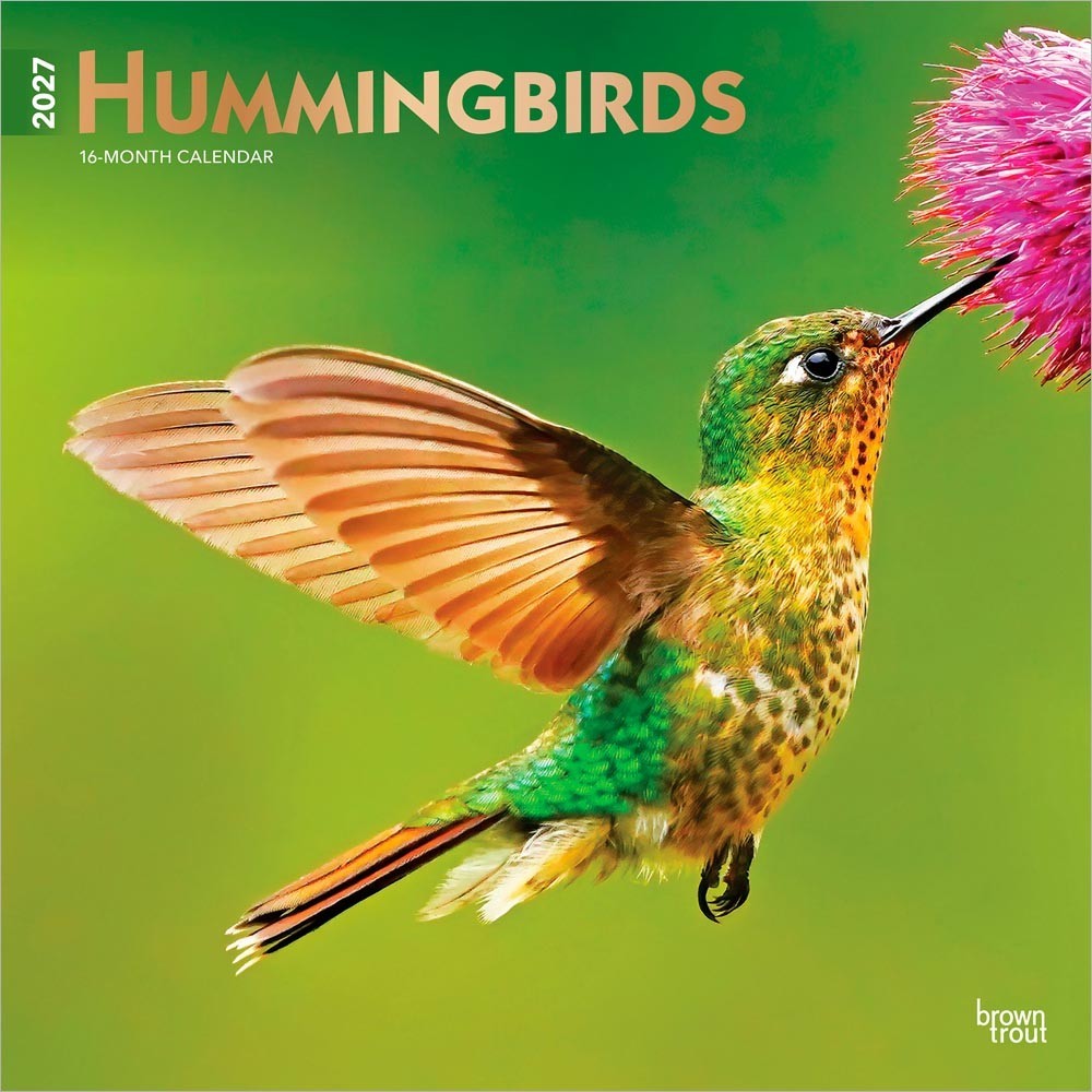 Hummingbirds | 2027 12×24″ (Hanging) Monthly Square Wall Calendar | Plastic-Free