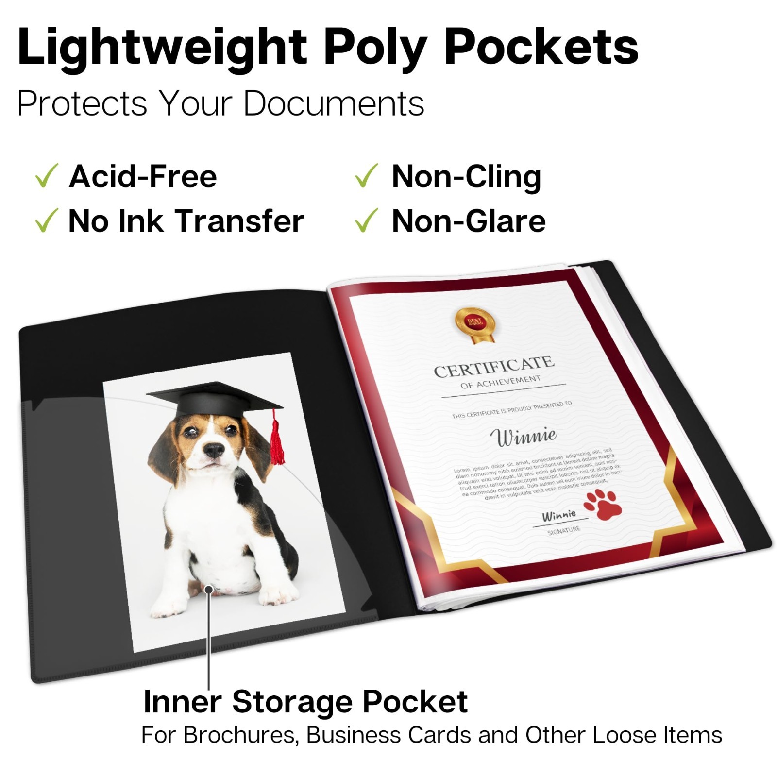 60-Pocket Presentation Binder, 120 Pages, 8.5×11 Organizer for Documents, Photos